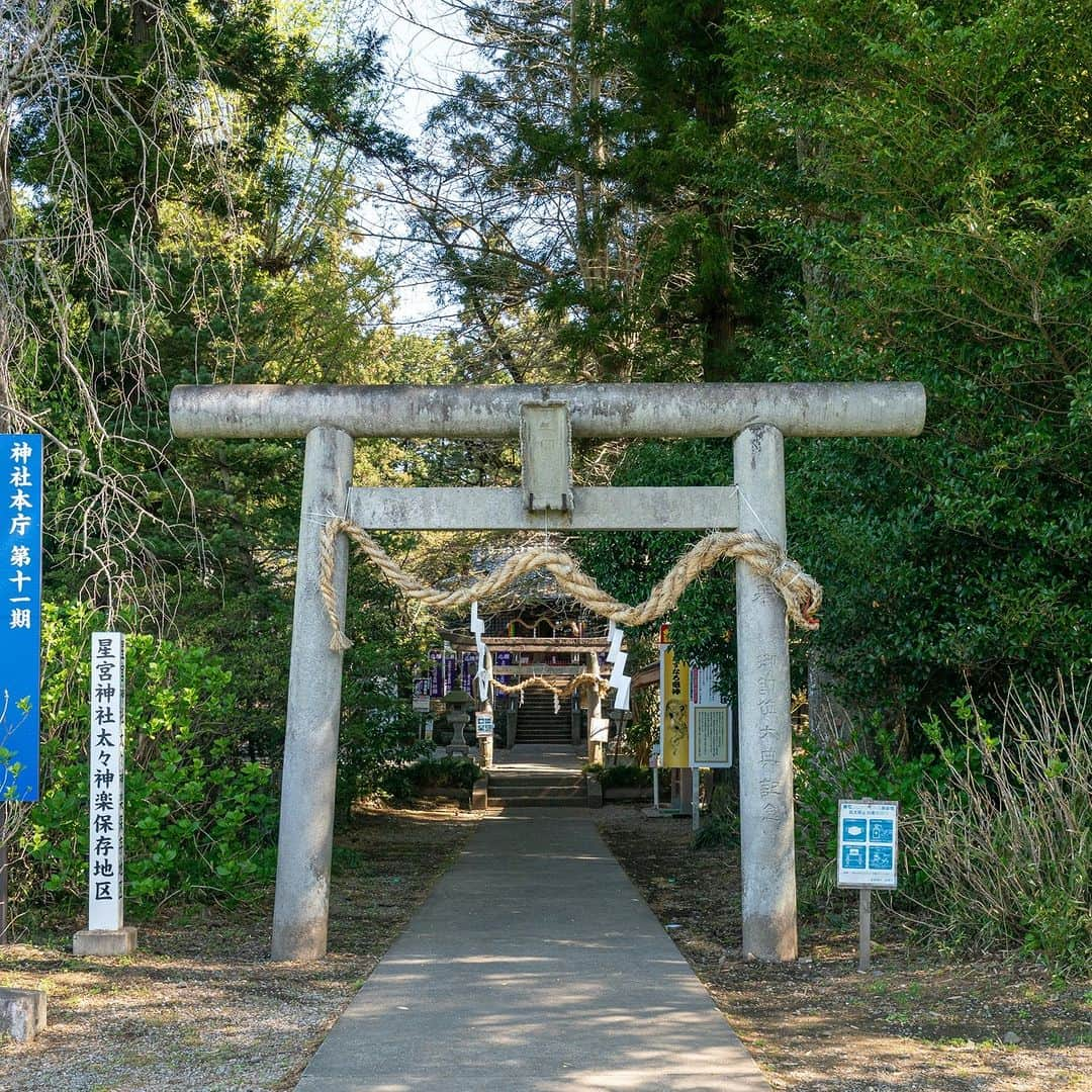 旅色さんのインスタグラム写真 - (旅色Instagram)「【栃木県｜栃木・佐野・足利・鹿沼】下野星宮神社　| 厄除け・方位除け・開運導きの神様⛩🐇  大同2年（807年）、藤原鎌足公十代の後裔である飛鳥井刑部卿が開拓司として居住、所を児山の郷の乾の方にして宮内と称し、磐裂神・根裂神を祀る鎮守とされたのが始まりとされる「下野星宮神社」。 のちに香取神宮より経津主神を勧誘。  御神徳は開運厄除・方位除け・武運・開拓・窮地を救うといった、人々が背負う星々（一生）をお守りいただける霊験あらたかな神社です。  ＼✨おすすめポイント01✨／ ◎パワースポット「あすなろ龍神御柱」 境内にて発見された金色のモグラにあやかり奉製された「あすなろ龍神御柱」は、モグラが龍になって空を飛びたいと願った、日本古来の神話が元になっている。現在は年間多くの人が訪れる、金運上昇・諸願成就のパワースポット。  ＼✨おすすめポイント02✨／ ◎「勝石（魔去る石）」 日頃、知らず知らずの内に自身の身についた厄や魔を厄割玉に移し、「勝石（魔去る石）」に投げて当てることで身が清められ、勝運や幸運を授かるとされる神事。「勝石（魔去る石）」は境内北側の遊歩道にあり、厄割玉は社務所で購入可能。  —-✄———-✄———-✄—ー  【下野星宮神社】 @hoshinomiya_jinja 📍栃木県下野市下古山1530 ［車］北関東自動車壬生ICより約10分 ［電車］JR各線石橋駅より車で約7分 TEL：0285-53-1706 [旅色を見たとお伝えください]  旅色：https://tabiiro.jp/leisure/s/210021-shimotsuke-hoshinomiya/ 公式：https://hoshinomiya-jinjya.com/  —-✄———-✄———-✄—ー  #旅色 #下野星宮神社 #星宮神社 #栃木県 #下野市 #しめ縄 #蛇のしめ縄 #金運 #健康 #長寿 #御朱印 #御朱印帳 #栃木県の神社 #神社巡り #神社 #開運招福 #栃木県 #下野市 #神社 #神社巡り #神社仏閣 #御朱印 #限定御朱印 #神楽 #白狐 #五穀豊穣 #厄除 #方位」11月26日 18時00分 - tabiiro