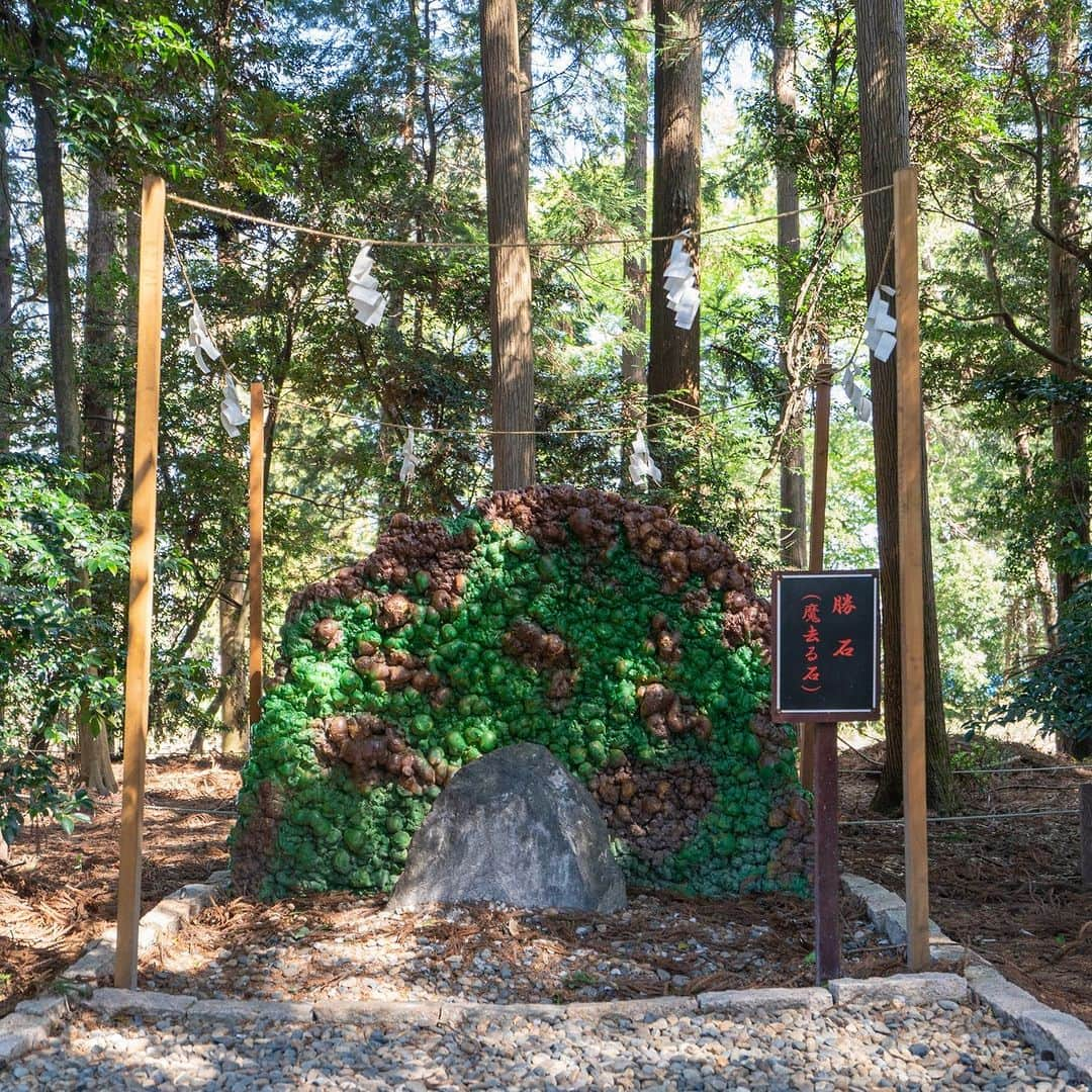 旅色さんのインスタグラム写真 - (旅色Instagram)「【栃木県｜栃木・佐野・足利・鹿沼】下野星宮神社　| 厄除け・方位除け・開運導きの神様⛩🐇  大同2年（807年）、藤原鎌足公十代の後裔である飛鳥井刑部卿が開拓司として居住、所を児山の郷の乾の方にして宮内と称し、磐裂神・根裂神を祀る鎮守とされたのが始まりとされる「下野星宮神社」。 のちに香取神宮より経津主神を勧誘。  御神徳は開運厄除・方位除け・武運・開拓・窮地を救うといった、人々が背負う星々（一生）をお守りいただける霊験あらたかな神社です。  ＼✨おすすめポイント01✨／ ◎パワースポット「あすなろ龍神御柱」 境内にて発見された金色のモグラにあやかり奉製された「あすなろ龍神御柱」は、モグラが龍になって空を飛びたいと願った、日本古来の神話が元になっている。現在は年間多くの人が訪れる、金運上昇・諸願成就のパワースポット。  ＼✨おすすめポイント02✨／ ◎「勝石（魔去る石）」 日頃、知らず知らずの内に自身の身についた厄や魔を厄割玉に移し、「勝石（魔去る石）」に投げて当てることで身が清められ、勝運や幸運を授かるとされる神事。「勝石（魔去る石）」は境内北側の遊歩道にあり、厄割玉は社務所で購入可能。  —-✄———-✄———-✄—ー  【下野星宮神社】 @hoshinomiya_jinja 📍栃木県下野市下古山1530 ［車］北関東自動車壬生ICより約10分 ［電車］JR各線石橋駅より車で約7分 TEL：0285-53-1706 [旅色を見たとお伝えください]  旅色：https://tabiiro.jp/leisure/s/210021-shimotsuke-hoshinomiya/ 公式：https://hoshinomiya-jinjya.com/  —-✄———-✄———-✄—ー  #旅色 #下野星宮神社 #星宮神社 #栃木県 #下野市 #しめ縄 #蛇のしめ縄 #金運 #健康 #長寿 #御朱印 #御朱印帳 #栃木県の神社 #神社巡り #神社 #開運招福 #栃木県 #下野市 #神社 #神社巡り #神社仏閣 #御朱印 #限定御朱印 #神楽 #白狐 #五穀豊穣 #厄除 #方位」11月26日 18時00分 - tabiiro