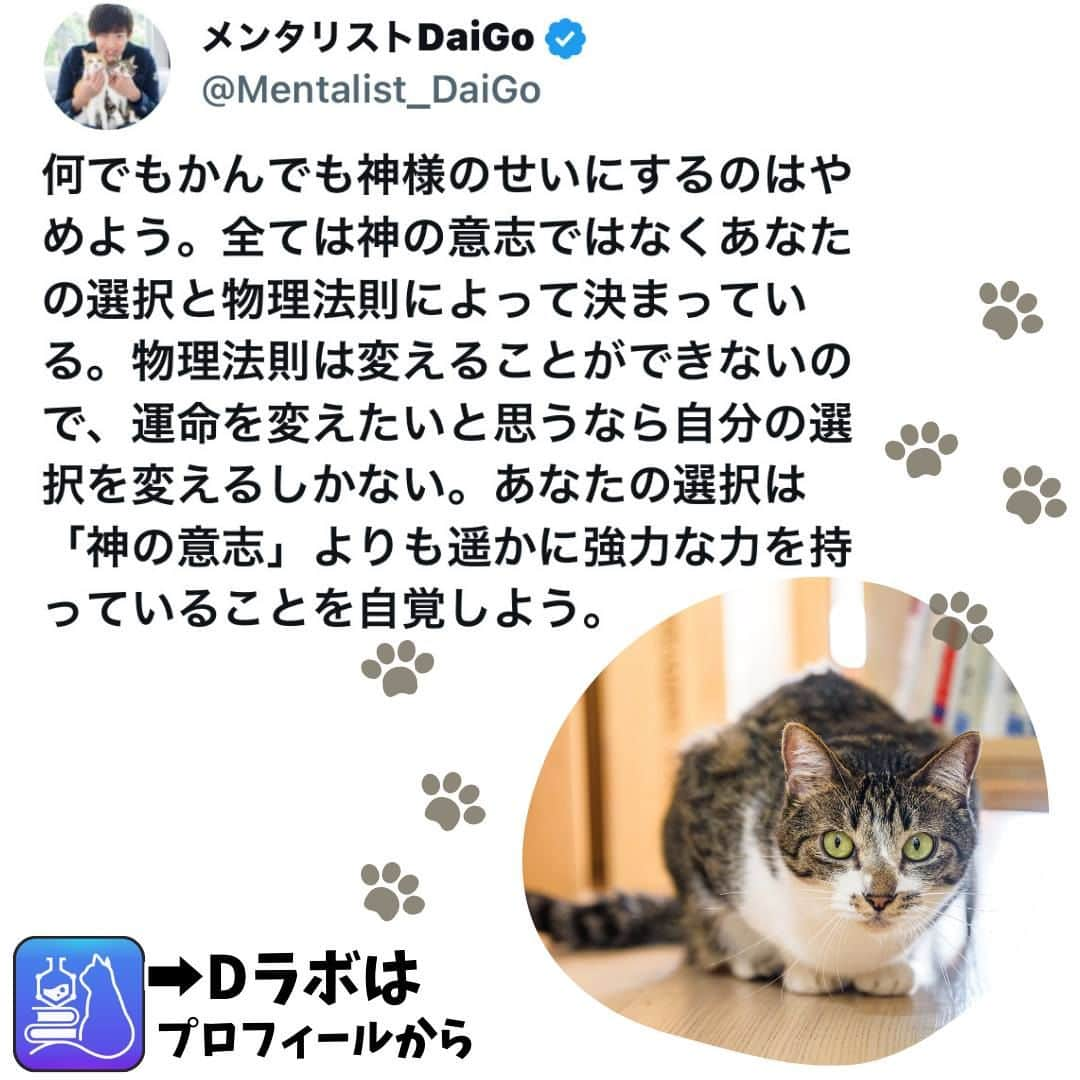 メンタリストDaiGoのインスタグラム：「🐈本日の名言📚 プロフィールからDラボもみてね  #心理学 #メンタリスト #dラボ  #dラボはプロフィールから」