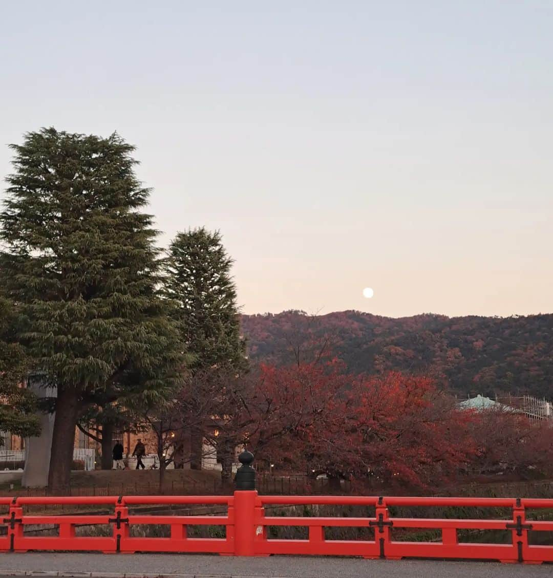 谷口キヨコのインスタグラム：「東山は🍁してる。月もきれい🌔 #京都紅葉　#東山 　#東山紅葉#岡崎公園 #谷口キヨコ　#キヨピー　#京都紅葉2023」