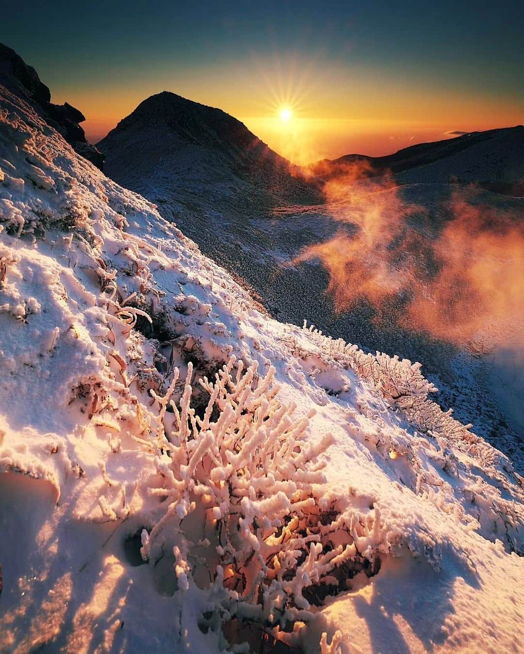 登山*トレッキング*アウトドア『.HYAKKEI』のインスタグラム：「オレンジ色に光る珊瑚と朝日。 素晴らしい組み合わせです✨  photo by : @y.sasa.mt さん　 素敵なお写真ありがとうございました！  ===  * 朝日に照らされる霧氷の珊瑚  🕛2023.11 🌏天狗ヶ城  camera:Nikon Z7Ⅱ lens:NIKKOR Z 17-28mm f/2.8  * * ===  #hyakkeime  #登山 #山登り #トレッキング #天狗ヶ城」