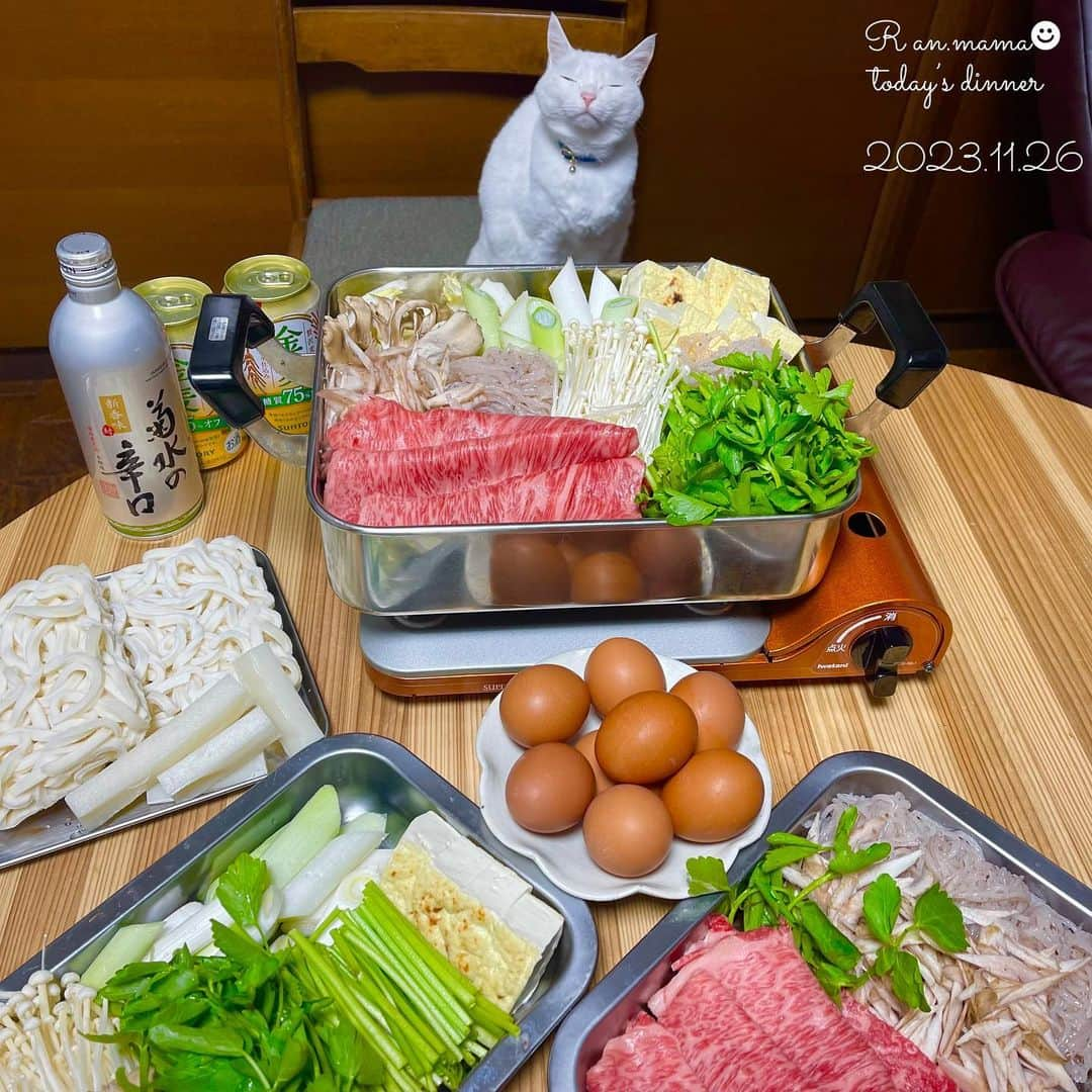 らんままのインスタグラム：「2023.11.26  今日のお夕飯⁣ ⁣ すき焼き⁣ ⁣ ⁣ こんばんは　日曜日ですね⁣ またまたお久しぶりです！⁣ 残業と休日出勤が続いています⁣ 今夜は明日からの活力のためすき焼きにしました⁣ ⁣ しめは冷凍讃岐うどんとスティック餅です⁣ ⁣ 今日の動画は 珍しくじゃらし棒に興味を持つもののすぐに飽きる くぅさん です⁣ 　⁣ ⁣ ⁣  #晩酌#晩御飯#献立#ばんごはん#おうち居酒屋#働く主婦の食卓#くぅさんを探せ#丸テーブル⁣ ⁣ ⁣ ⁣ ⁣」