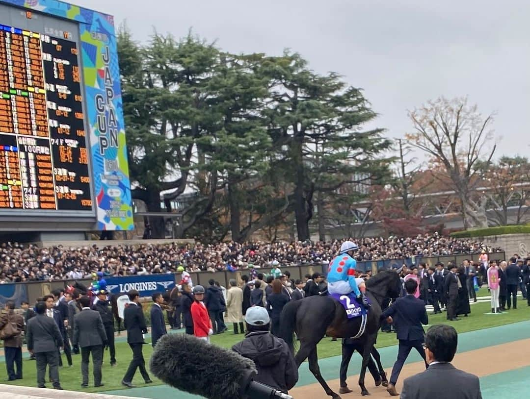 田添菜穂子のインスタグラム：「It was such an honour to be the MC of the award ceremony of the 43rd Japan cup in association with Longines! Congratulations to Equinox！  ジャパンカップの表彰式の英語MCを務めました。  イクイノックス、素晴らしい走りでジャパンカップを制しました。 表彰式のスタンバイで、目の前でゴールを見ることができるのは、本当にいつも役得です。 素晴らしい余裕さえある、王者の走りでした！  国際招待レースなので、外国人関係者も多く、ロンシャンやロイヤルアスコット、とまではいわないまでも、そちらで見るようなステキなお帽子やヘッドピースを身につけてらっしゃる男性、女性の方をお見かけできて気分が華やぎました。  表彰式の日本語司会が、ラジオNIKKEIのアナウンサーで元・仙台放送の小塚歩さんで、大変お久しぶりにお会いできて嬉しかったです！まさかの大学の学部学科が一緒の同窓生さんでもありました！  #japancup #japancup2023 #equinox #イクイノックス #イクイノックスおめでとう #ジャパンカップ #ジャパンカップ2023 #小塚歩 #longines」