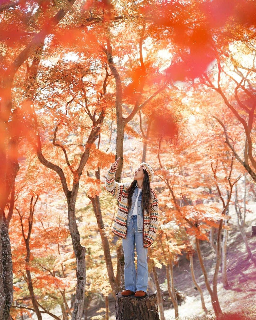 KONDOUMIYUのインスタグラム：「⁡ ⁡ ⁡ 𝑨𝒖𝒕𝒖𝒎𝒏 𝒍𝒆𝒂𝒗𝒆𝒔 🍁🍂 ⁡ 温泉帰りに紅葉見たいな〜って思って たまたま見つけた公園 🙌🏾 ⁡ 綺麗なもみじが見れて最高でした 🧡 ⁡ ⁡」