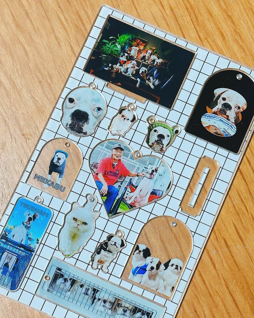 juntowaさんのインスタグラム写真 - (juntowaInstagram)「最近は3匹で散歩行ってます🐶🐶🐶  @acry.fam でまたアクキーとアクリルスタンド作ってみました！  一度にたくさん作れるので 今回はブリーダーさんにプレゼントしようと思って つぶとのキーホルダー作ったよ☺️  たくさんあるのでどこに付けようか悩んじゃう🫨  めかはハーネスに自分の顔付けてみました🙋🏻‍♀️  #ACRY #アクリー #ACRYfam #アクリルプレート#ad #うちの子グッズ」11月26日 19時03分 - juntowa