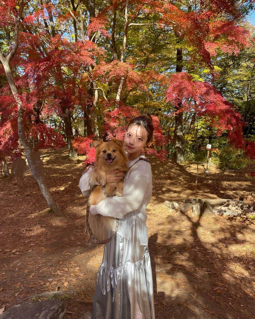 橘ひろなさんのインスタグラム写真 - (橘ひろなInstagram)「紅葉見てきた🍁 こむぎも一緒にお出かけ🐕  tops @bonjoursagan シースルーになってて可愛い☺️  #bonjoursagan#bs_style#ボンサガ#カジュアルコーデ　#スウェットコーデ　#シルバースカート　#白T #高身長コーデ#紅葉　#秩父　#長瀞　#紅葉狩り」11月26日 19時11分 - hirona0523