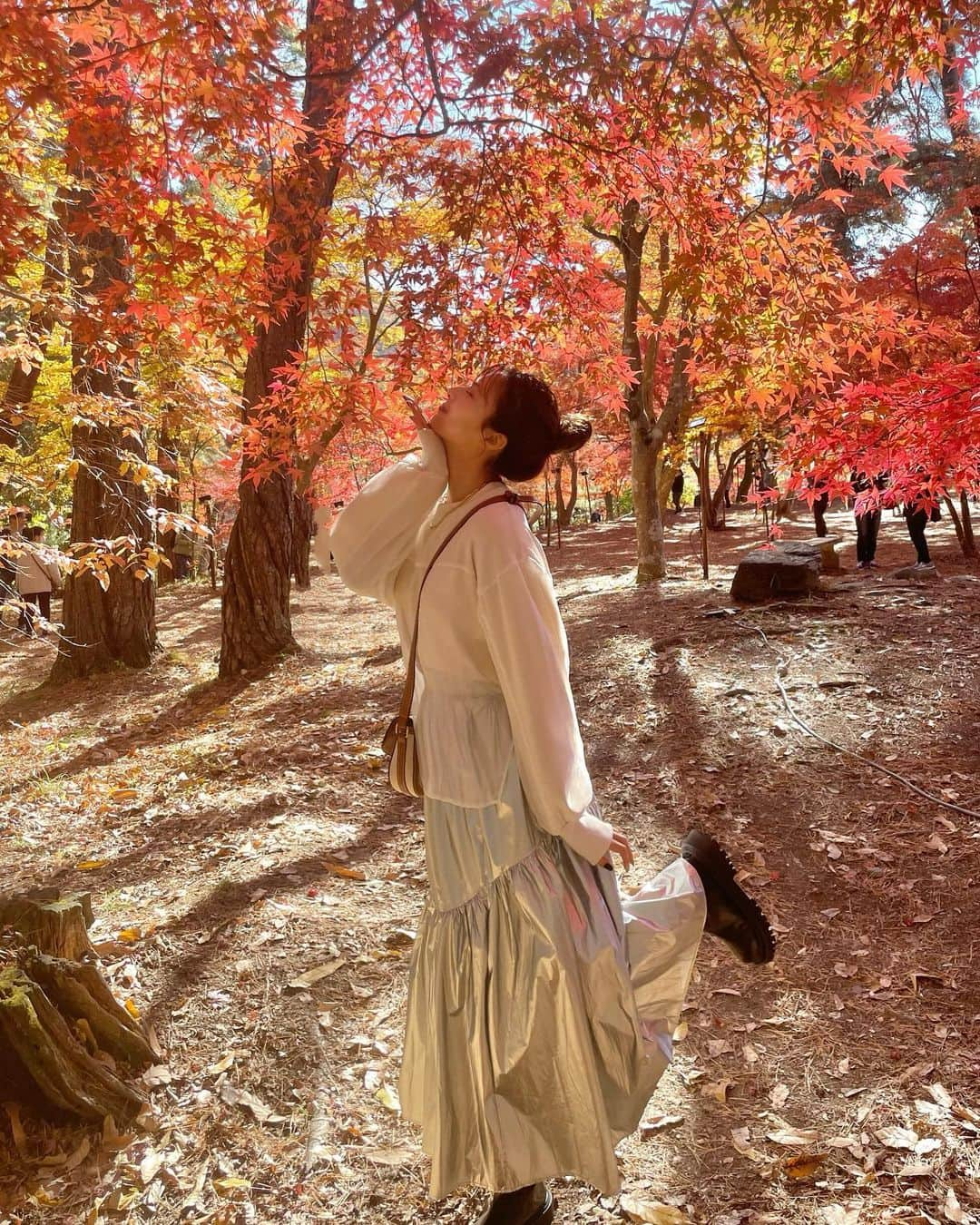 橘ひろなさんのインスタグラム写真 - (橘ひろなInstagram)「紅葉見てきた🍁 こむぎも一緒にお出かけ🐕  tops @bonjoursagan シースルーになってて可愛い☺️  #bonjoursagan#bs_style#ボンサガ#カジュアルコーデ　#スウェットコーデ　#シルバースカート　#白T #高身長コーデ#紅葉　#秩父　#長瀞　#紅葉狩り」11月26日 19時11分 - hirona0523