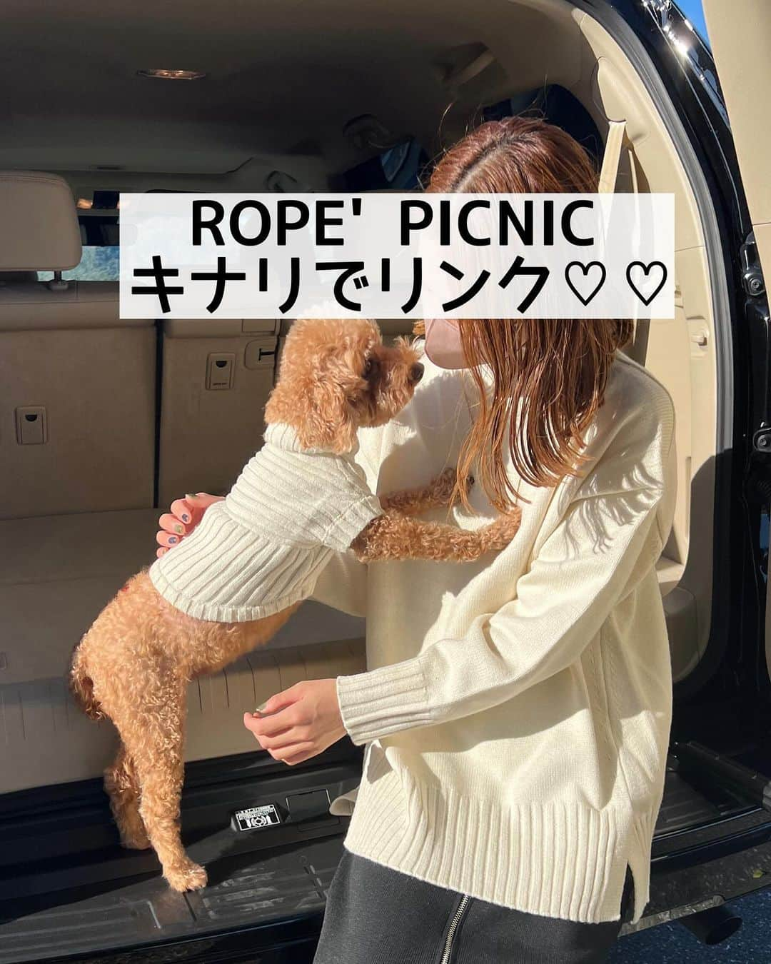 _rei_rei_27さんのインスタグラム写真 - (_rei_rei_27Instagram)「⁡ @ropepicnic_official ロペピクニック で愛犬とリンクコーデできるよꕀ⋆ 🐶 @ropepicnic_dog ⁡ 私はサイドスリットニットプルオーバー キナリ／38 着用してます♡ ちなみにパーソナルカラーはイエベです✨️ チクチクしなし着心地良く首元までしっかりあるから今日は暑かったぐらい！笑 お尻もしっかり隠れる丈感なのも👍🏻 ̖́- しかもこれパチパチしにくいニットだよ👏🏻 ⁡ ラブ🐶 はリブ切り替えニットプルオーバー／キナリ／M 着用してます♡ ラブは勿論イエベなのでよく似合ってる！笑 ⁡ 是非皆もリンクコーデ楽しんで下さい♡ カラーも沢山あったよꕀ⋆ ⁡ #PR#ロペピクニック#ropepicnic#ropepicnicdog #リンクコーデ#サイドスリットニット」11月26日 19時12分 - chouchou_rei_rei