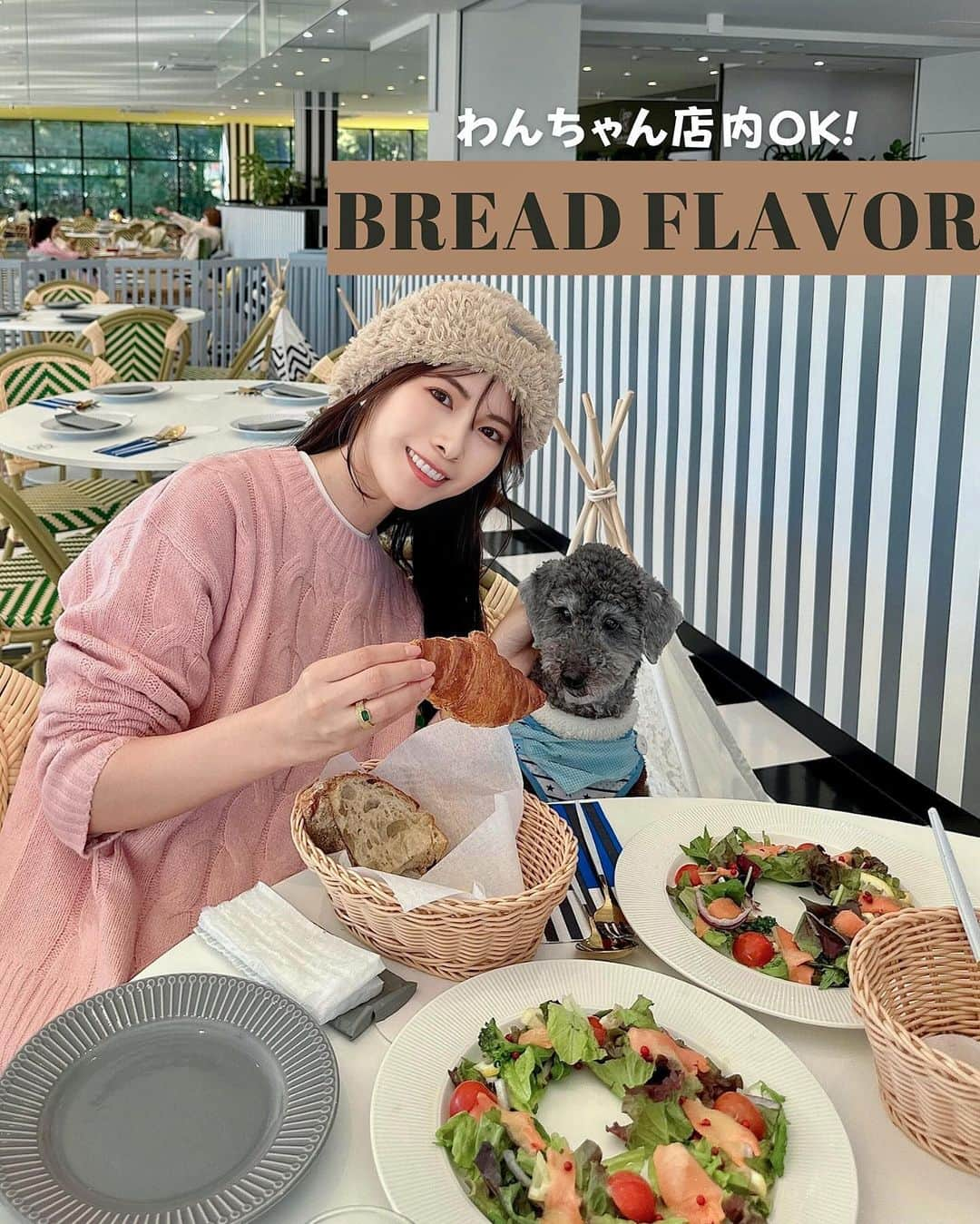 Yuika Matsuのインスタグラム：「神戸・須磨グルメ 　 〈#カフェレストラン #神戸グルメ #BREADFLAVOR 〉 　　 ワンちゃんと楽しめるシーサイドレストラン BREAD FLAVOR @breadflavor_suma  　 　 100人以上も入店できるひろーい空間で 目の前に広がる海を眺めながら ゆったりとくつろげる空間🐶 　 焼きたてパンに合わせた クリスマス限定メニュー🎄を注文♪   ワンちゃん連れが多くて和んだ♡  　  ┈┈┈┈┈┈┈ ❁ ❁ ❁ ┈┈┈┈┈┈┈┈ 　 【BREAD FLAVOR】 📍 • 兵庫県神戸市須磨区須磨浦通1丁目1-3 🕚11:00 - 21:00 (L.O. 20:00) 　 ┈┈┈┈┈┈┈ ❁ ❁ ❁ ┈┈┈┈┈┈┈┈  　  #ブレッドフレーバー#神戸ランチ#神戸レストラン  #神戸力フェ #須磨海浜公園 #breadflavor_suma #breadflavor #絶景カフェレストラン #ワンちゃんと一緒にカフェ#pr」