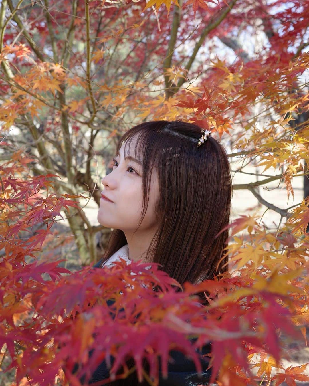 森みはるさんのインスタグラム写真 - (森みはるInstagram)「紅葉🍁あかりちゃんがカメラで撮ってくれた〜📷 @akarin__rin   #紅葉#紅葉回廊#山梨#河口湖#momiji#koyo#japan#japanesegirl#yamanashi」11月26日 19時17分 - miharu_mori