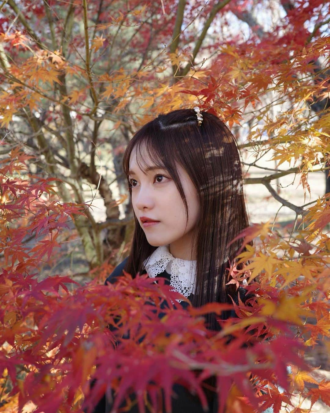 森みはるさんのインスタグラム写真 - (森みはるInstagram)「紅葉🍁あかりちゃんがカメラで撮ってくれた〜📷 @akarin__rin   #紅葉#紅葉回廊#山梨#河口湖#momiji#koyo#japan#japanesegirl#yamanashi」11月26日 19時17分 - miharu_mori