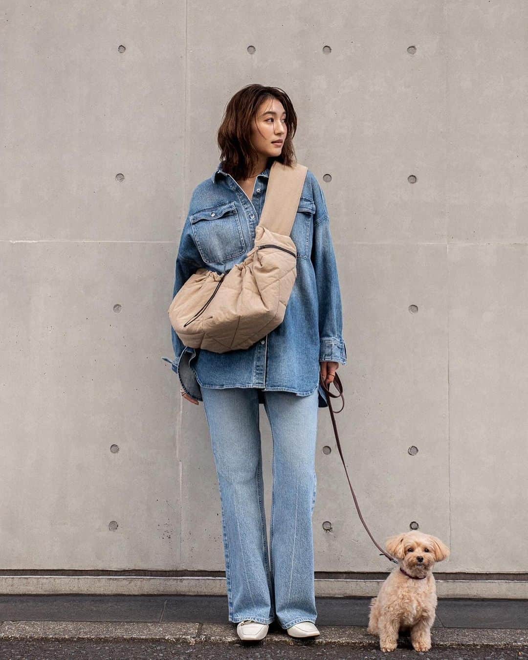 有末麻祐子さんのインスタグラム写真 - (有末麻祐子Instagram)「愛犬と暮らしている方からたくさんのご意見をいただき @lowellthings  さんと開発したバッグ。🐶 大切な愛犬と一緒にお出かけする時に使うバッグに必要なことは、このバッグがある事で一緒に入れるお店や行動範囲が広がったり、愛犬が疲れた時に落ち着く簡易的なべットになったりする様々な機能性が大切だと思いました。 飼い主様にとっても愛犬にとっても"使い心地が良い"バッグをテーマにしました。 そんな想いを詰め込んだ最高のバッグができました☺️💕 何度も修正を繰り返し、妥協が嫌で、最後まで拘りやワガママを聞いてくださり、アドバイスやアイデアも沢山頂き、自信作のわんちゃんバックを作れたのは @lowellthings チームの皆様のお陰です🙇🏻‍♀️ありがとうございました🥺  只今先行予約をして頂いた方は特別に10%OFFになります💝 12/3 23:59までです。 その後は通常価格販売になります🙇🏻‍♀️  鞄の詳細や、その他細かい拘りなどはプロフィールにURLを貼っときますので是非ご覧ください。  たくさんの方に是非使っていただけたら嬉しいです☺️」11月26日 19時19分 - mayukoarisue