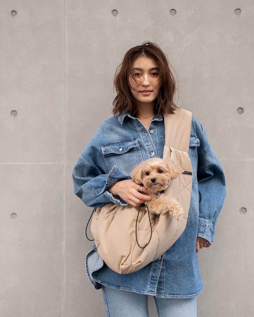 有末麻祐子さんのインスタグラム写真 - (有末麻祐子Instagram)「愛犬と暮らしている方からたくさんのご意見をいただき @lowellthings  さんと開発したバッグ。🐶 大切な愛犬と一緒にお出かけする時に使うバッグに必要なことは、このバッグがある事で一緒に入れるお店や行動範囲が広がったり、愛犬が疲れた時に落ち着く簡易的なべットになったりする様々な機能性が大切だと思いました。 飼い主様にとっても愛犬にとっても"使い心地が良い"バッグをテーマにしました。 そんな想いを詰め込んだ最高のバッグができました☺️💕 何度も修正を繰り返し、妥協が嫌で、最後まで拘りやワガママを聞いてくださり、アドバイスやアイデアも沢山頂き、自信作のわんちゃんバックを作れたのは @lowellthings チームの皆様のお陰です🙇🏻‍♀️ありがとうございました🥺  只今先行予約をして頂いた方は特別に10%OFFになります💝 12/3 23:59までです。 その後は通常価格販売になります🙇🏻‍♀️  鞄の詳細や、その他細かい拘りなどはプロフィールにURLを貼っときますので是非ご覧ください。  たくさんの方に是非使っていただけたら嬉しいです☺️」11月26日 19時19分 - mayukoarisue