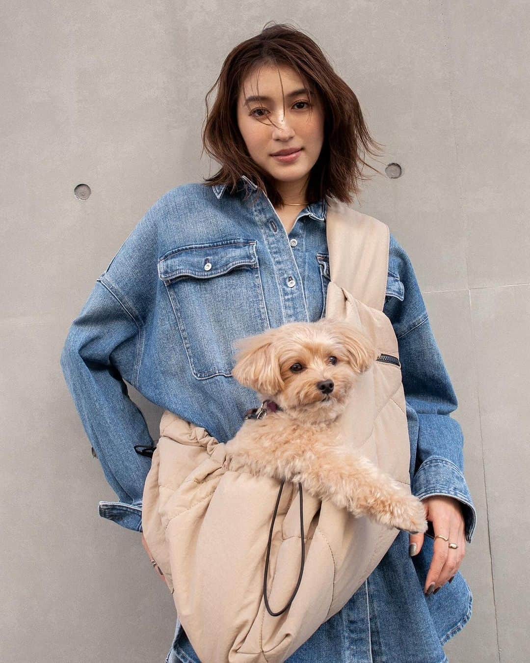 有末麻祐子のインスタグラム：「愛犬と暮らしている方からたくさんのご意見をいただき @lowellthings  さんと開発したバッグ。🐶 大切な愛犬と一緒にお出かけする時に使うバッグに必要なことは、このバッグがある事で一緒に入れるお店や行動範囲が広がったり、愛犬が疲れた時に落ち着く簡易的なべットになったりする様々な機能性が大切だと思いました。 飼い主様にとっても愛犬にとっても"使い心地が良い"バッグをテーマにしました。 そんな想いを詰め込んだ最高のバッグができました☺️💕 何度も修正を繰り返し、妥協が嫌で、最後まで拘りやワガママを聞いてくださり、アドバイスやアイデアも沢山頂き、自信作のわんちゃんバックを作れたのは @lowellthings チームの皆様のお陰です🙇🏻‍♀️ありがとうございました🥺  只今先行予約をして頂いた方は特別に10%OFFになります💝 12/3 23:59までです。 その後は通常価格販売になります🙇🏻‍♀️  鞄の詳細や、その他細かい拘りなどはプロフィールにURLを貼っときますので是非ご覧ください。  たくさんの方に是非使っていただけたら嬉しいです☺️」