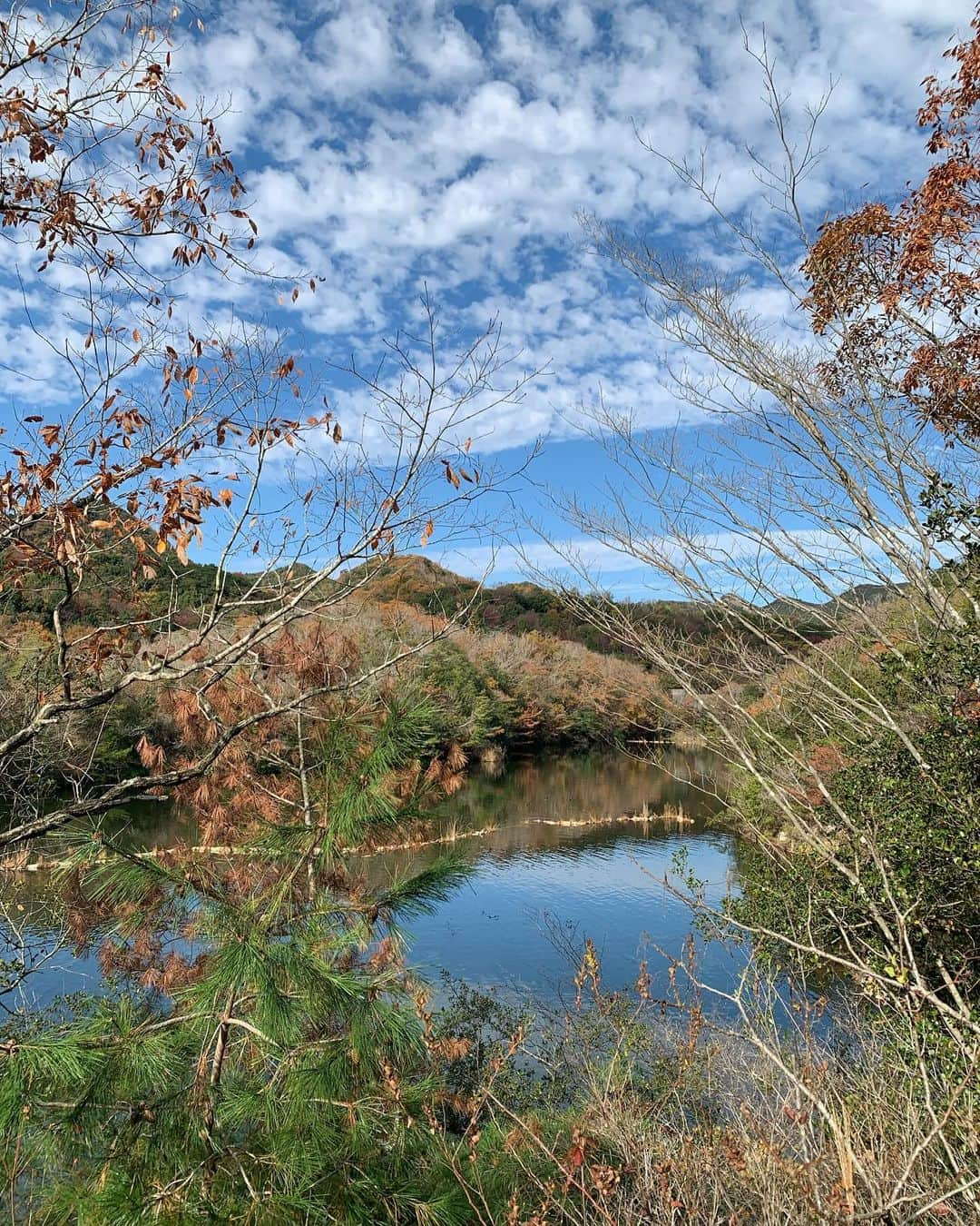 村上ショージさんのインスタグラム写真 - (村上ショージInstagram)「秋の終わりに🍂別荘に空を見て景色観て皆んなでご飯を食べて皆んなで写真撮って楽しい日を^_^ニコちゃん親子、えりりん、いつもの私達でした♪楽しかった♪ありがとう😊」11月26日 19時24分 - murakamis0528