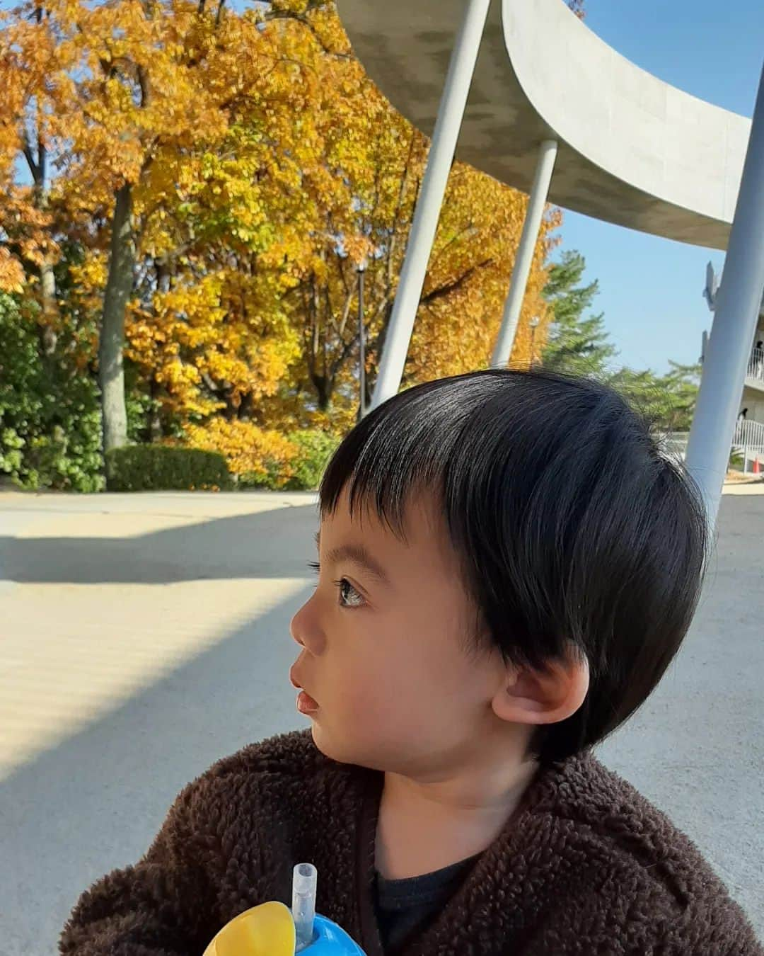 友利愛美のインスタグラム：「🍂🍁🍂🤎♥🍂  ずっと見に行きたかった大好きな紅葉〜♥ リクエストして家族でお出かけしたよん🥰  尾道、千光寺に行ってきたよー♥  たいちゃんは3回目の千光寺で 歩けるようになってからは初なので、  今日はロープウェイで上まであがって 帰りは歩きでたくさんの物を見つつ、 歩いて下ったよ♥👏  天気も良くて楽しかった〜🥺🥺🥺  はぁ♥成長はつくづく嬉しいねぇ♥👶⇒👦  そして自然はやっぱり癒やされる〜🍂紅葉の色合いがだいすき！落ち葉も好き😍  秋は一瞬だねぇ、というかもう冬やんね🤣  紅葉、また来年も楽しめますよーに💕  #千光寺#赤ちゃんがいる暮らし#男の子ベビー#1才7ヶ月#紅葉#紅葉狩り#男の子ママ#babyboy#公園デート#尾道#ロープウェイ#日曜日の風景 #成長記録#親バカ部#公式たまひよグラマー」