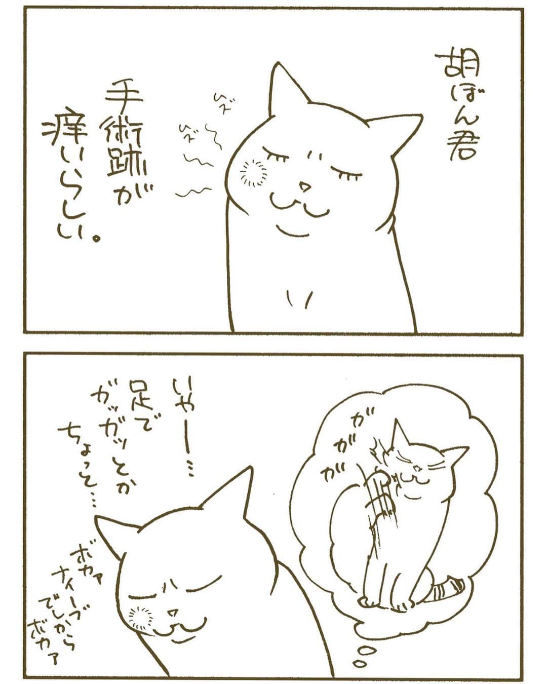 くるねこ大和さんのインスタグラム写真 - (くるねこ大和Instagram)「オンオフ  #胡ぼん  #暖話室と猫」11月26日 19時47分 - kuru0214neko