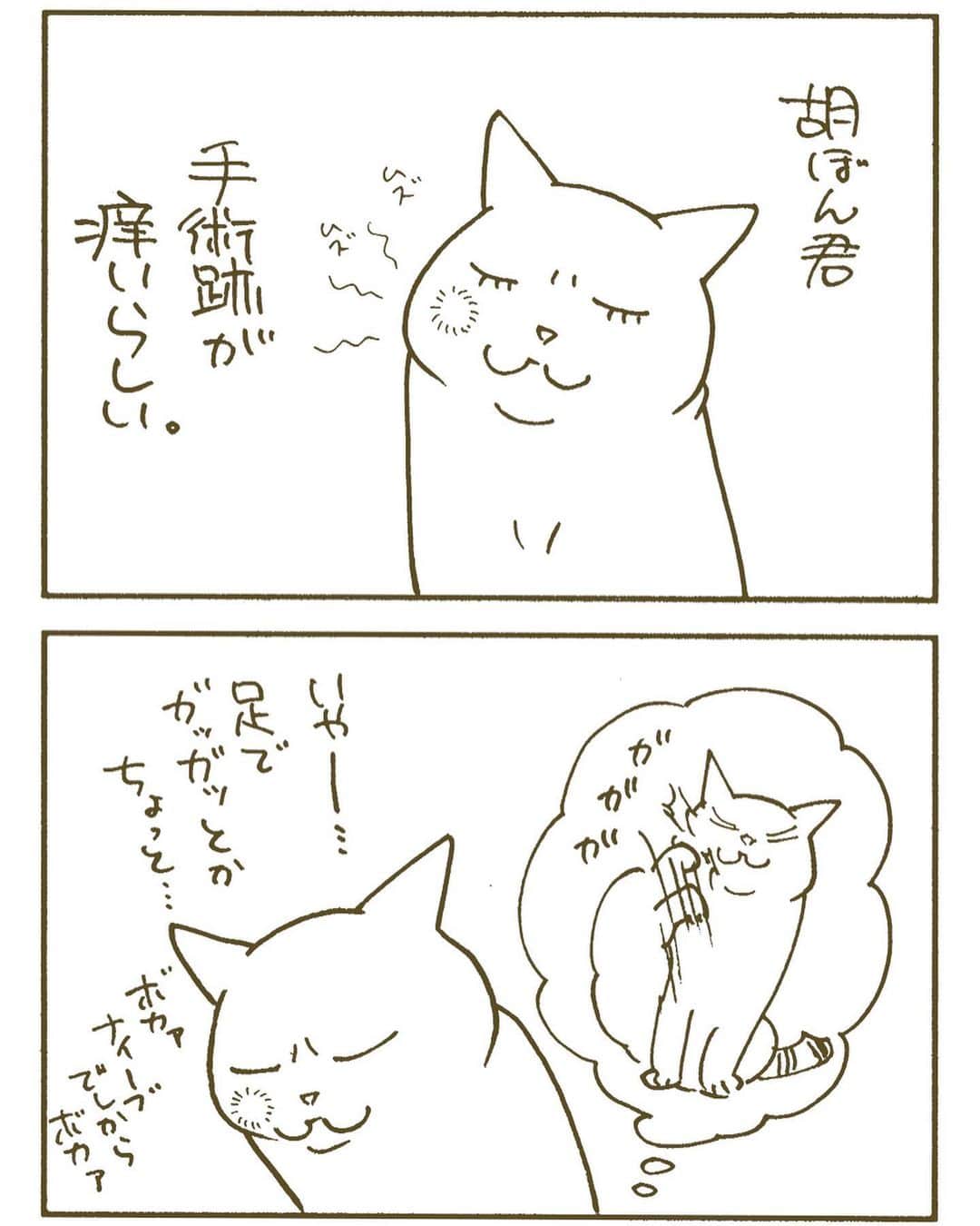 くるねこ大和のインスタグラム：「オンオフ  #胡ぼん  #暖話室と猫」