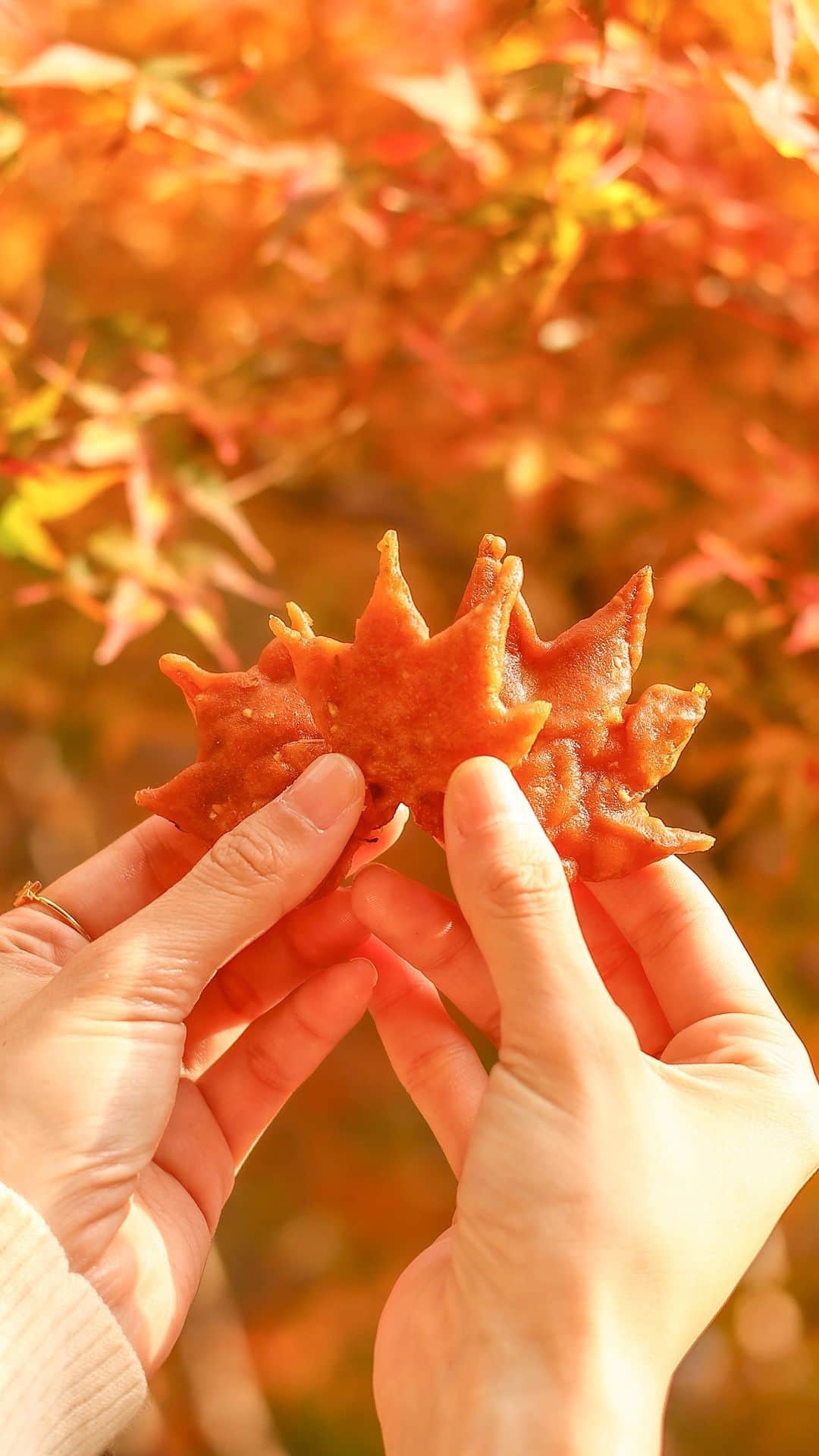 きょん。のインスタグラム：「箕面といえばやっぱりこれですよね、 紅葉の天ぷら🍁  揚げてるところは 基本撮影NGなのだけど、 ここは"手元なら撮っていいよーっ！" とのことだったので、 買って撮らせてもらった。  香ばしくておやつにぴったりなの、これ。  #鈴木商店 #箕面グルメ #大阪カフェ #紅葉 #紅葉2023 #japanesecafe #大阪 #大阪グルメ #大阪旅行 #japanesesweets #紅葉 #japanfood #japantrip #osakatrip」