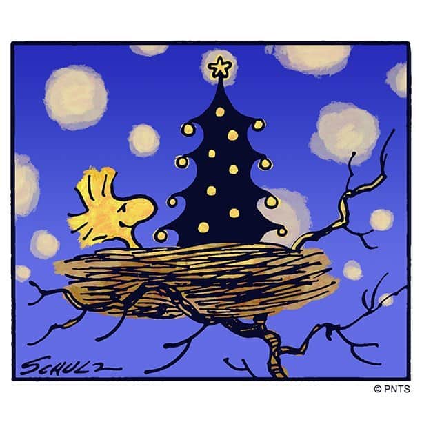 スヌーピーさんのインスタグラム写真 - (スヌーピーInstagram)「It's Christmas tree time 🎄」11月27日 6時42分 - snoopygrams