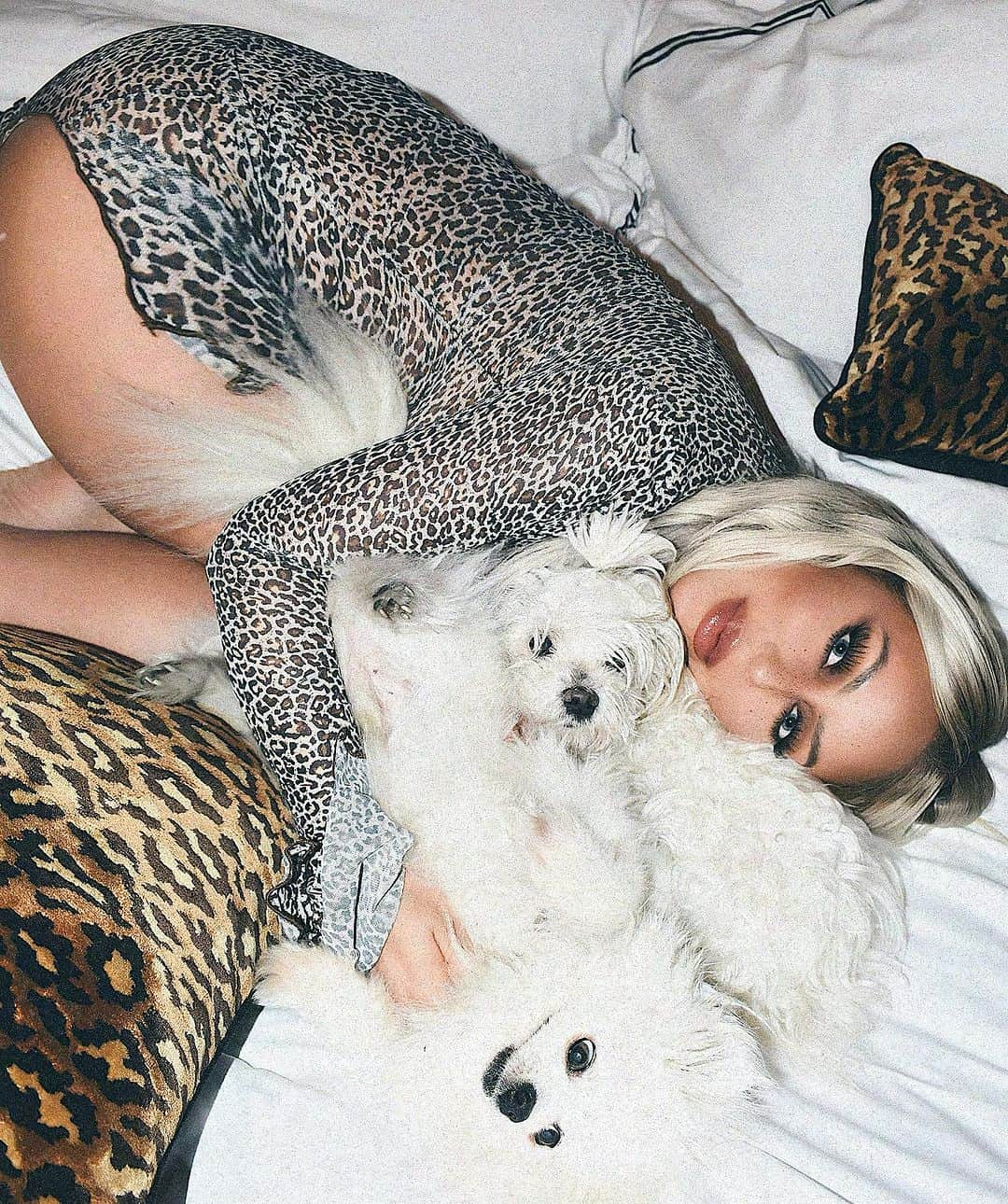 オーブリー・オデイさんのインスタグラム写真 - (オーブリー・オデイInstagram)「every dog must have his day.」11月27日 6時40分 - aubreyoday