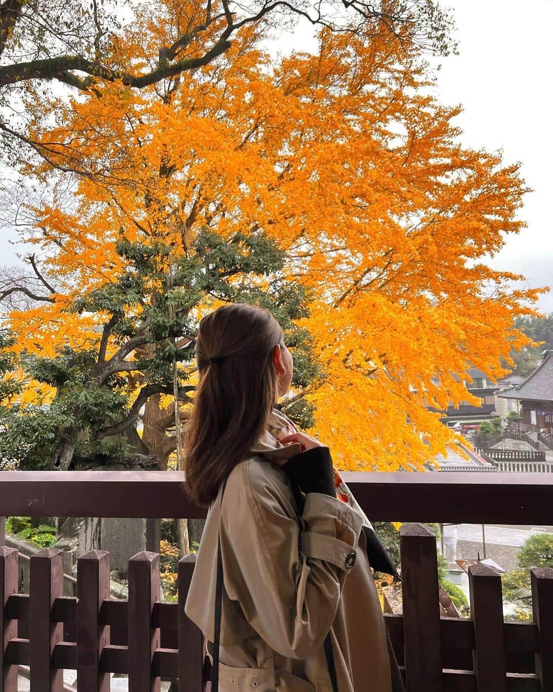 瀧澤あすみさんのインスタグラム写真 - (瀧澤あすみInstagram)「雨でどんよりな空だったけどそれはそれで素敵だった✨ 今年は家族で色んな秋を沢山堪能できてよかったなー🍂」11月26日 21時40分 - asumitakizawa