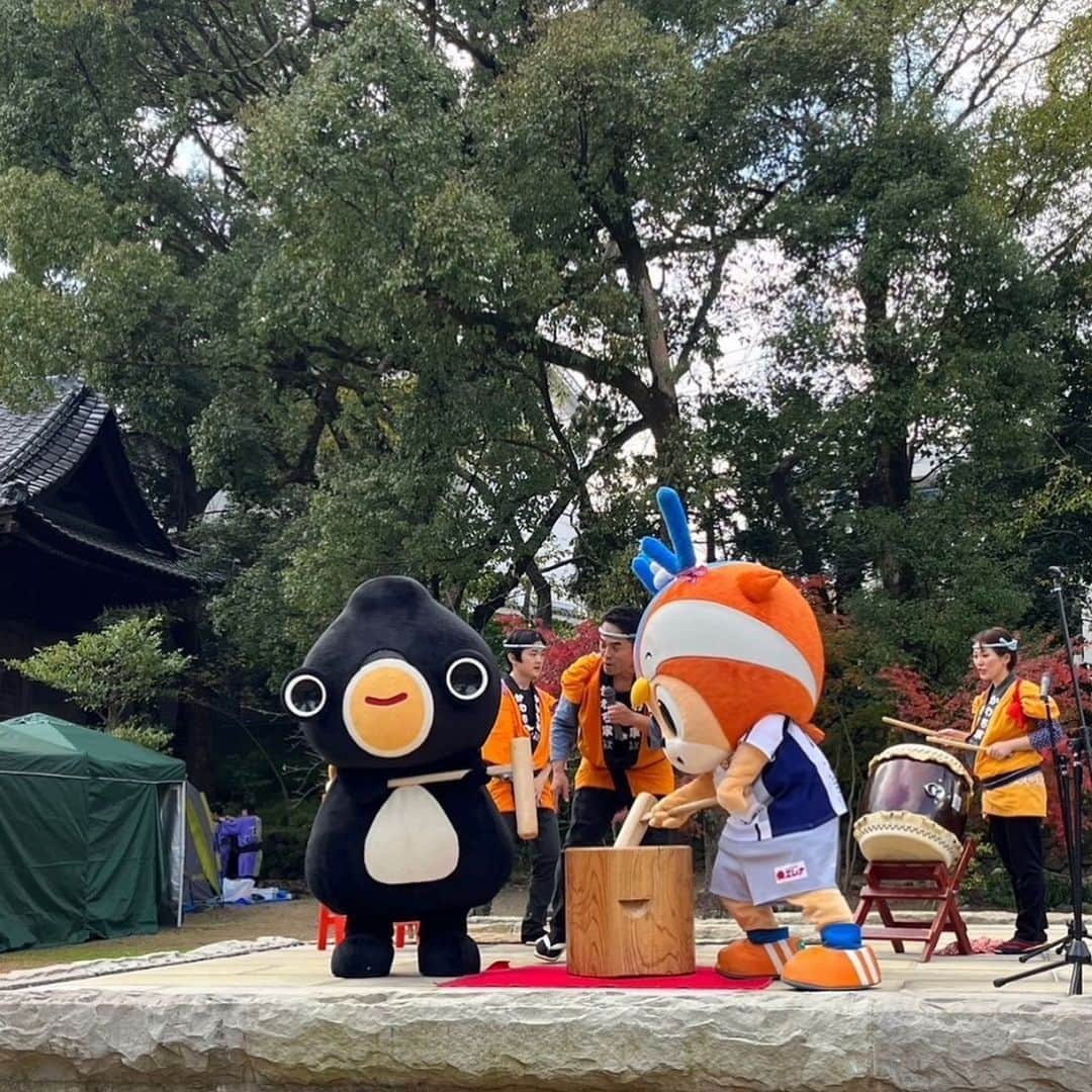 のインスタグラム：「諫早神社でおこなわれたしゅうかくかんしゃさい「くすのきまるしぇ」✨  かわち家さんとうないさんとのおもちつき‼️ ことしはおっきなきねでのおもちつきもがんばりましたっ＼(^o^)／ のんのこおどり、ひょっとこおどりもたのしかったなぁ🐥🎶  こうれいのしんまいじゃんけんたいかいは1かいせんでまけてしまいゲットならず…💦 (おしゃしんだけとらせていただきました📸🌾) うないさんのかいてんやき、かわいくておいしかったです☺️💓  おいしいとたのしいとしぜんのめぐみがいっぱいつまったすてきな1にちでした🌟  #vvaren #vファーレン #vファーレン長崎 #長崎 #ヴィヴィくん #諫早市」