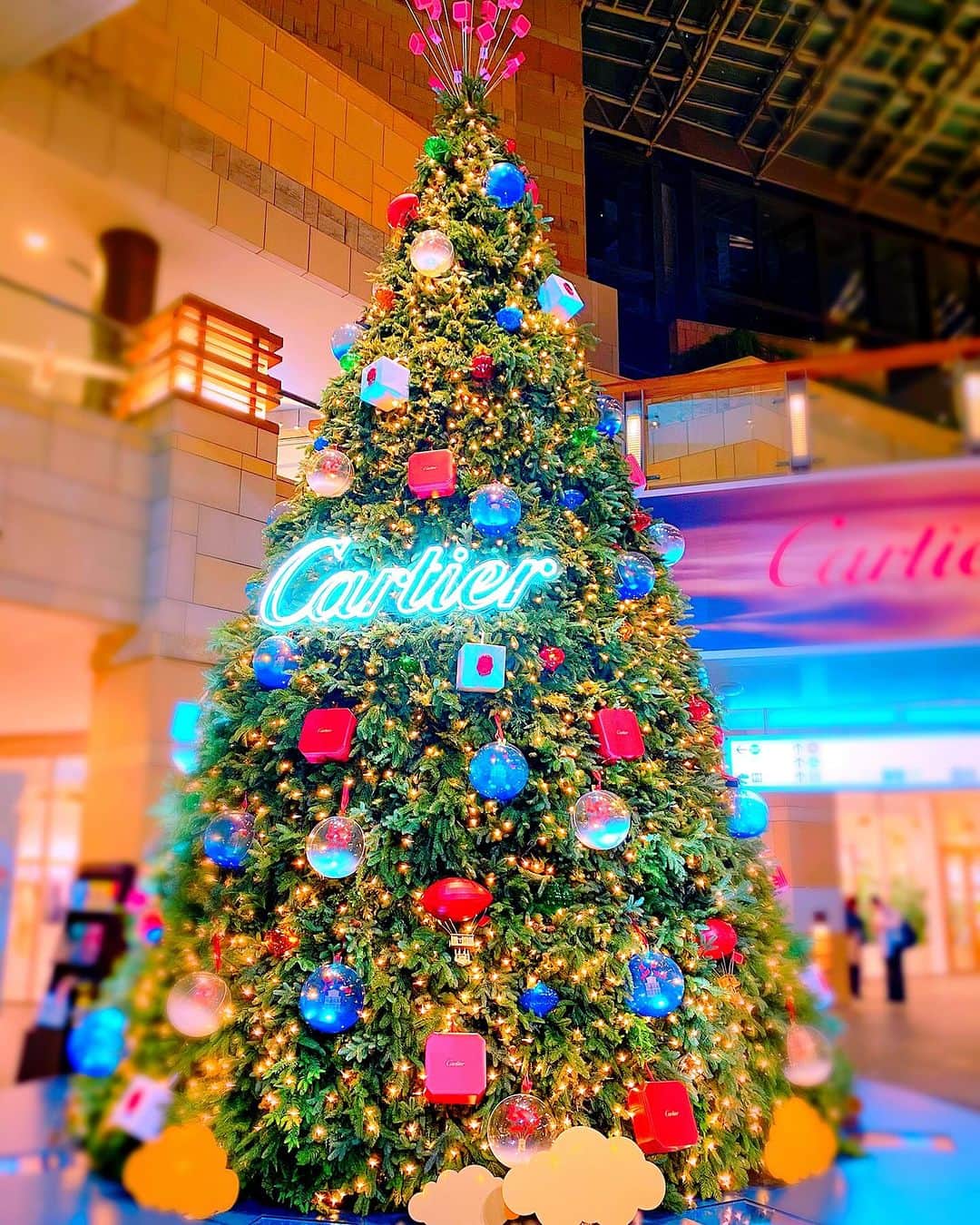 犬束ひとみのインスタグラム：「🛷🎅🎁🎄❄️ クリスマスも近づいてきたね🎄 一年で一番好きなイベント❤️ いろんなところ行きたいな🫶」