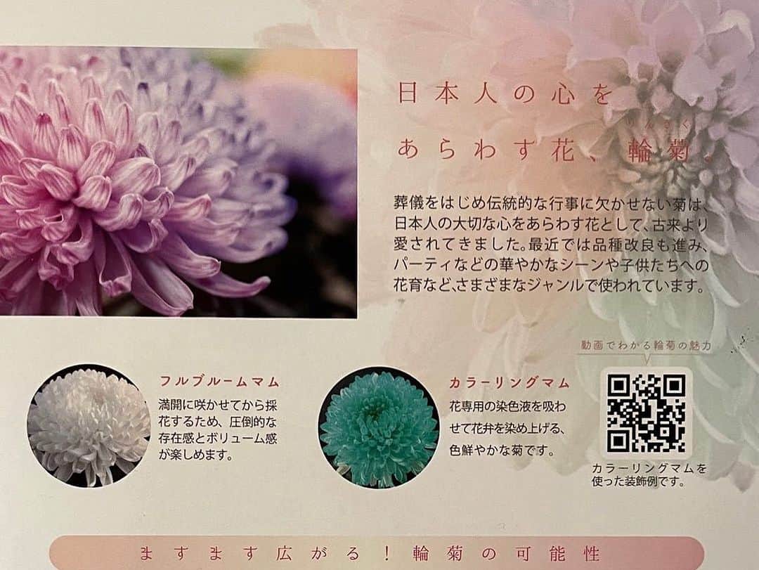 假屋崎省吾さんのインスタグラム写真 - (假屋崎省吾Instagram)「旧篠原家住宅個展で、 JA愛知みなみ輪菊部会からご提供頂いた、キクの作品です😻✨  虹色のキクが満開になりましたよ〜っ‼️  #假屋崎省吾 #カーリー #宇都宮 #旧篠原家住宅 #個展 #イベント #JA愛知みなみ輪菊部会 #キク」11月26日 22時26分 - shogo_kariyazaki_official