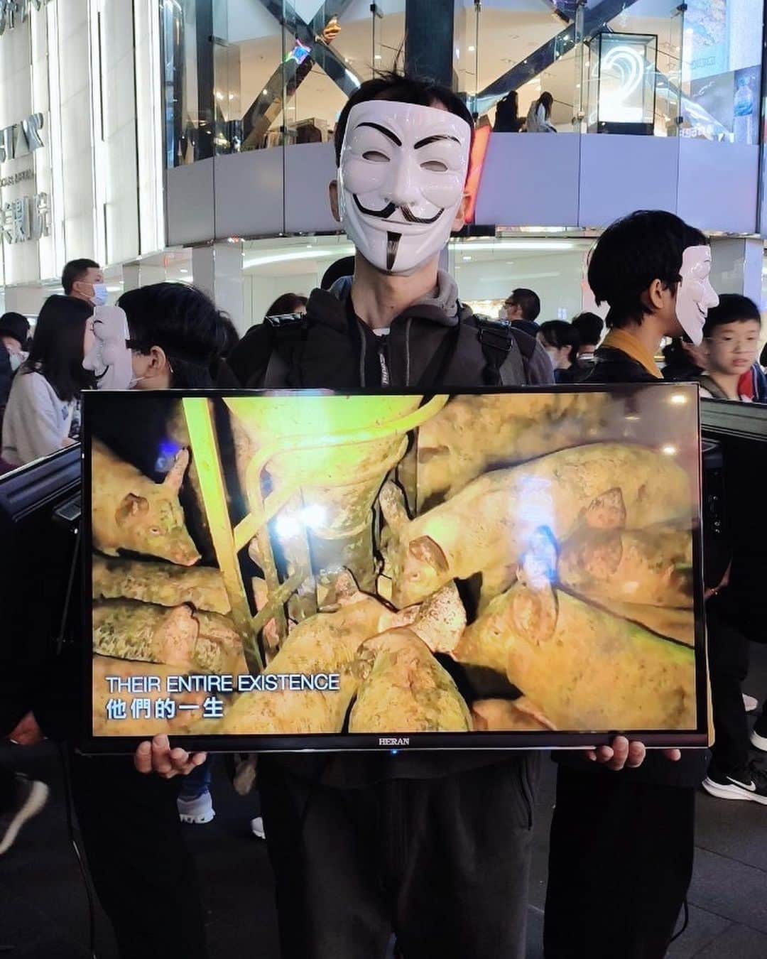Kimberley Chenさんのインスタグラム写真 - (Kimberley ChenInstagram)「昨天在西門町第二次參加 @anonymousforthevoiceless  @av_taiwan 動物權街上推廣。真的很謝謝當初 @vegan4.t.a  邀請了我參加街推課程，讓我終於找到一個能夠為動物權發聲推廣的機會，也讓我認識很多跟我一樣熱情的vegan朋友。我本來在西門町都在穿浮誇的衣服表演，簽唱會，第一次街推的時候穿著全黑很緊張的希望能讓更多人看到cube的真相，真的是很不一樣的感覺！今年能夠參加真的很榮幸也對我很有意義 😭 我真的非常非常相信有很多很善良的人只要看到那些殘忍的畫面都很願意做出改變，在街推的時候遇到很多看著電視機哭說真的不知道這些動物要接受的煎熬，謝謝你們的同理心，也很謝謝所有停下來願意看的人 🙏🏻 我知道改變不簡單 but we can do it 🙏🏻 for the animals 🌿🐓🥹🐮  邀請所有的vegan跟我一起參加街推 💗💗💗   Calling out to all my vegan friends to join me to raise awareness and stand up for these innocent beings 💗」11月26日 22時40分 - lekimberleyy