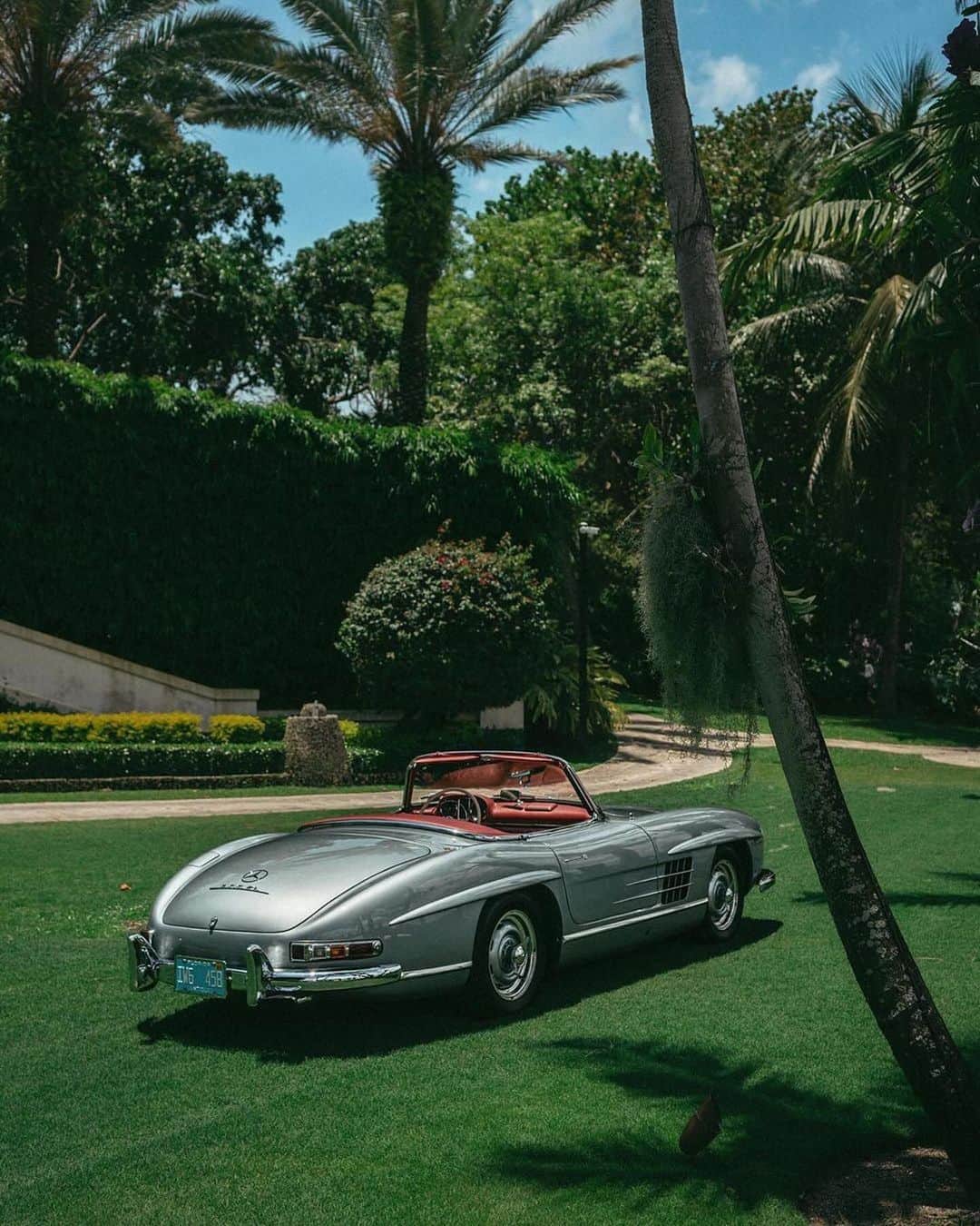 The Luxury Lifestyle Magazineのインスタグラム：「Green appreciation post. 🍃  @louisnicolasdarbon」