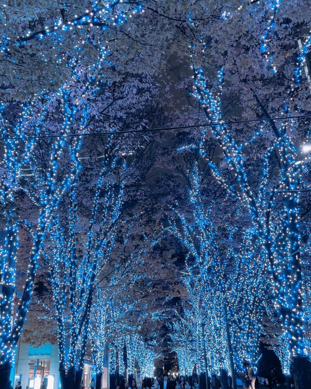 MIYUUさんのインスタグラム写真 - (MIYUUInstagram)「Brrrrrr...」11月26日 23時19分 - immiyuu_official