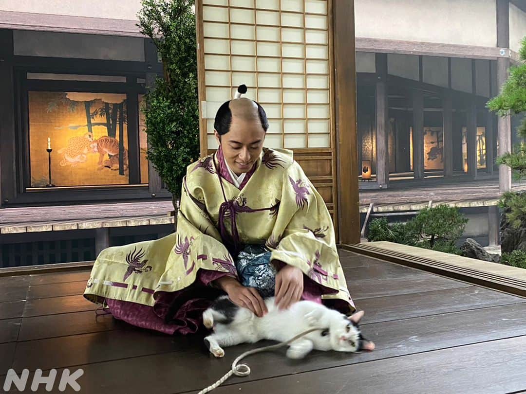 どうする家康さんのインスタグラム写真 - (どうする家康Instagram)「#どうする家康 第45回「二人のプリンス」 ご覧いただきありがとうございました✨  #豊臣秀頼 役 #作間龍斗 さん 戦国版猫カフェ！？ほのぼのオフショットをお届け🐈  撮影の合間に猫とたわむれる作間さん🥰  涼やかで様子のいい"秀吉" 父のように淡々としている秀頼ですが 猫をかわいがるおちゃめな一面も…✨  第45回「二人のプリンス」再放送は 【12/2(土) 午後1:05 総合】  見逃し配信は 【12/3(日) 午後8:44 まで】  詳しくはプロフィールのリンクをチェック。」11月27日 18時00分 - nhk_ieyasu