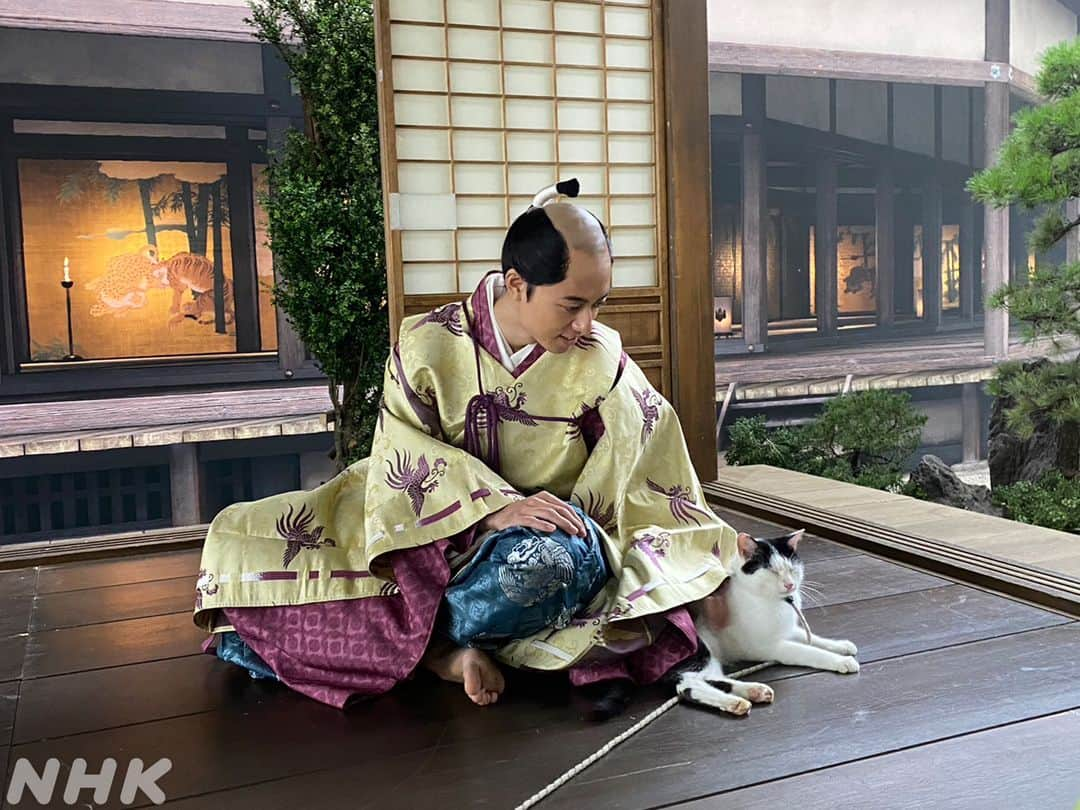 どうする家康さんのインスタグラム写真 - (どうする家康Instagram)「#どうする家康 第45回「二人のプリンス」 ご覧いただきありがとうございました✨  #豊臣秀頼 役 #作間龍斗 さん 戦国版猫カフェ！？ほのぼのオフショットをお届け🐈  撮影の合間に猫とたわむれる作間さん🥰  涼やかで様子のいい"秀吉" 父のように淡々としている秀頼ですが 猫をかわいがるおちゃめな一面も…✨  第45回「二人のプリンス」再放送は 【12/2(土) 午後1:05 総合】  見逃し配信は 【12/3(日) 午後8:44 まで】  詳しくはプロフィールのリンクをチェック。」11月27日 18時00分 - nhk_ieyasu