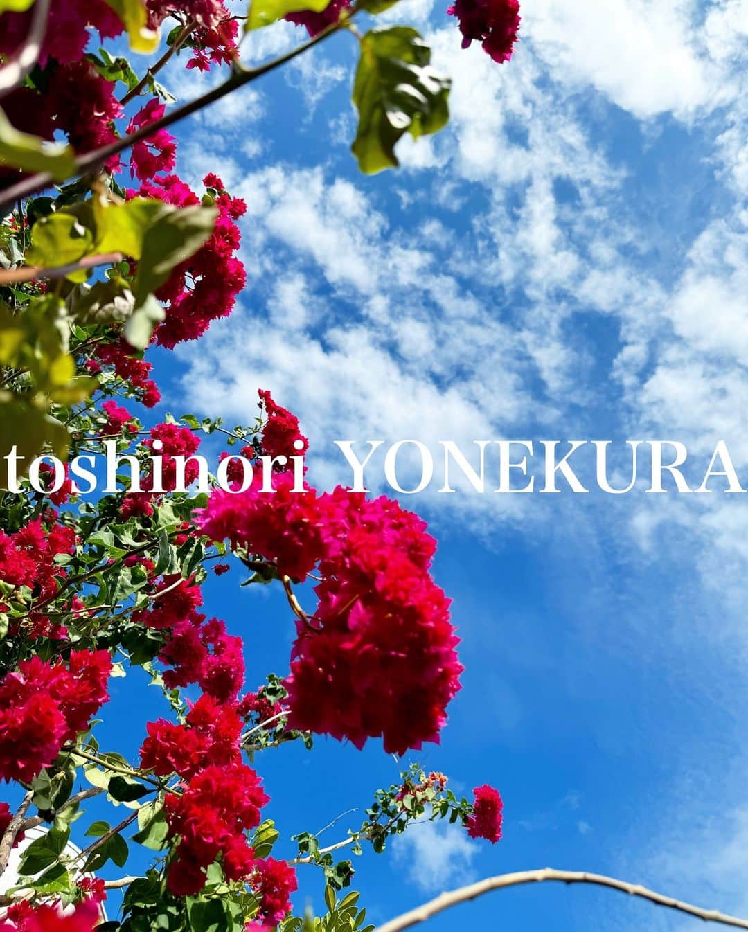 米倉利紀さんのインスタグラム写真 - (米倉利紀Instagram)「こちら、いいお天気でした☀️」11月27日 0時17分 - toshi_yonekura