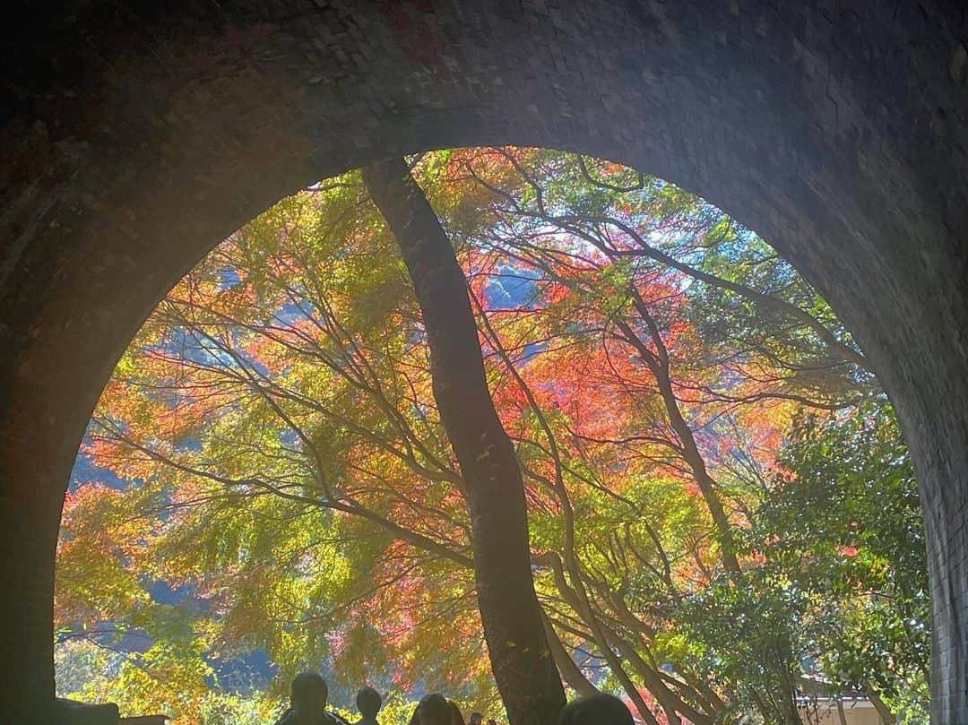 岡安弥生のインスタグラム：「秘境に浸る😍🍁✨ #紅葉#秘境#紅葉#リポート#定光寺#リポート#羽鳥慎一モーニングショー」