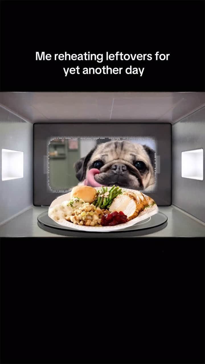 itsdougthepugのインスタグラム：「I know I said yesterday was the last day but here I am 😋🍗」