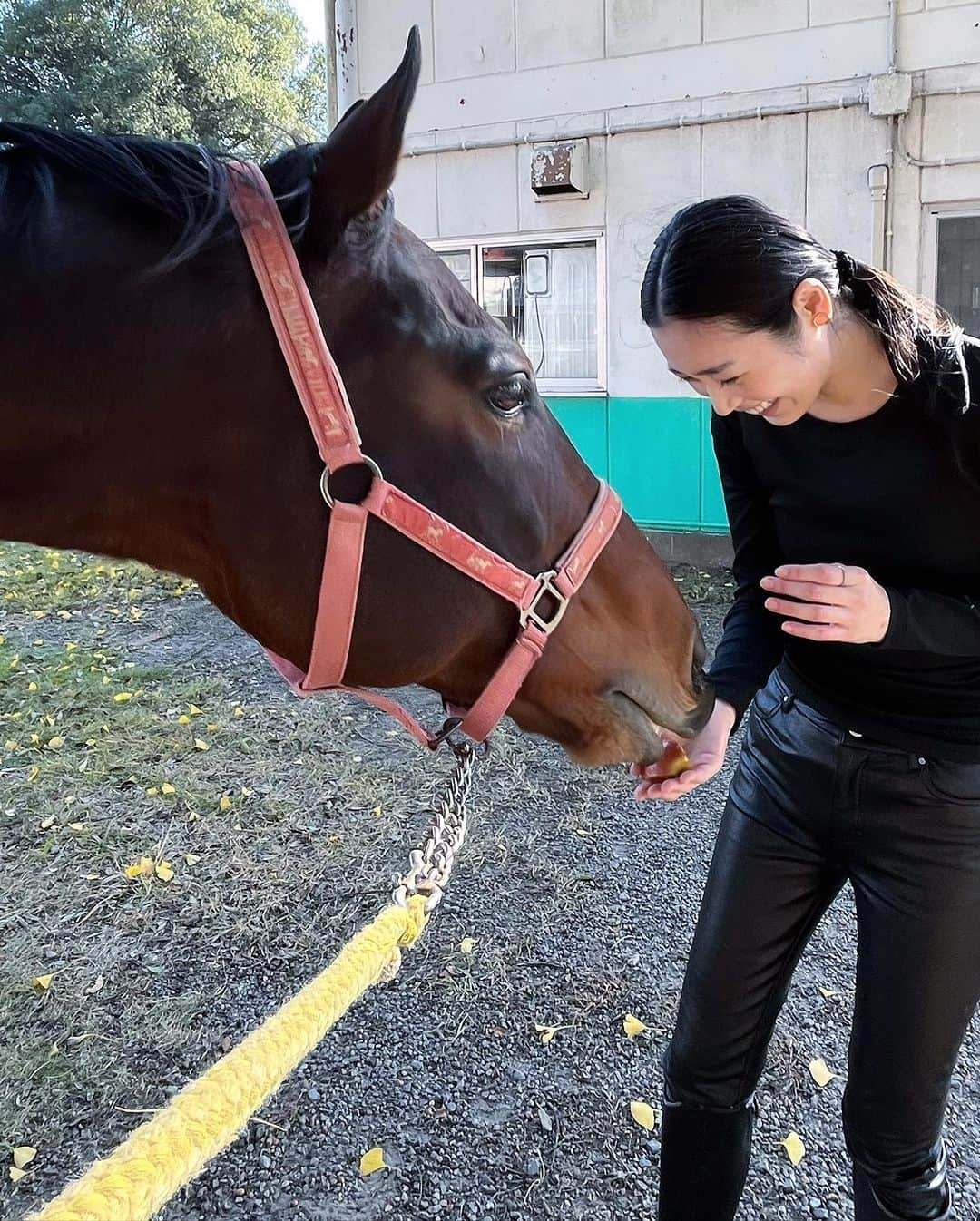 林田岬優さんのインスタグラム写真 - (林田岬優Instagram)「Thank you for the horses and the beautiful ranch. They always give me a wonderful time of peace,healing and lovely🌷♡ Libertas of deepimpact, thoroughbredhorses and pony🐴🐴🐴 #ridinghorse#deepimpact #thoroughbredhorse#pony」11月27日 1時06分 - miyu_hayashida