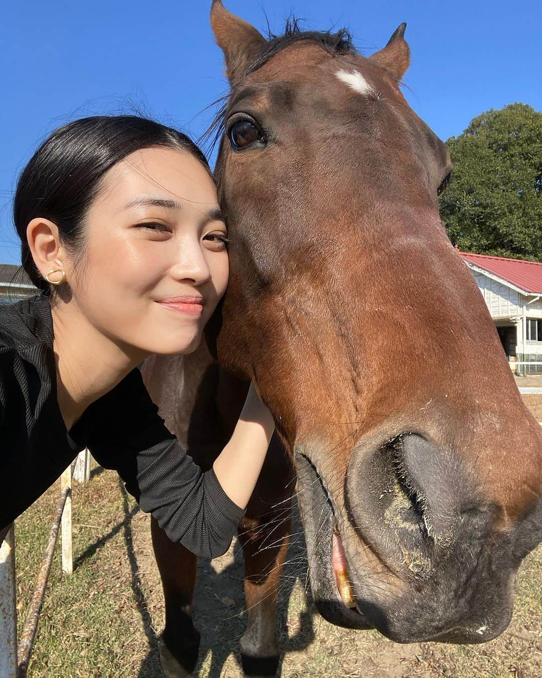 林田岬優さんのインスタグラム写真 - (林田岬優Instagram)「Thank you for the horses and the beautiful ranch. They always give me a wonderful time of peace,healing and lovely🌷♡ Libertas of deepimpact, thoroughbredhorses and pony🐴🐴🐴 #ridinghorse#deepimpact #thoroughbredhorse#pony」11月27日 1時06分 - miyu_hayashida