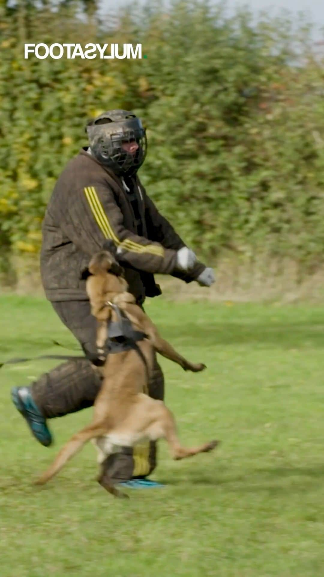 FOOTASYLUMのインスタグラム：「POV you're a dog chasing Danny Aarons 😭 Would you take on the dog challenge 👇 #LockedIn」