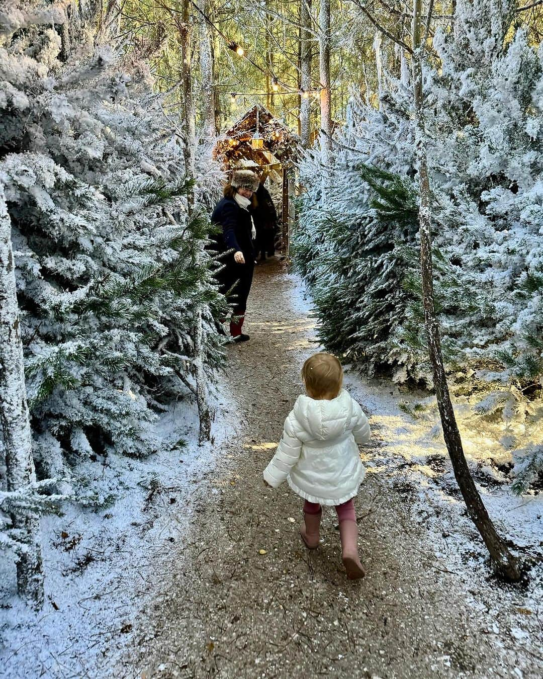 ミリー・マッキントッシュさんのインスタグラム写真 - (ミリー・マッキントッシュInstagram)「A magical start to the Christmas season with a trip to @laplanduk. Our girls had the incredible experience of meeting Santa, helping the elves in the toy factory and sending their letters to the North Pole. I live for making these memories with them ❄️🫶🏻🎅🏻✨❤️  #laplanduk #makingmemories #prvisit #christmastime」11月27日 1時54分 - milliemackintosh