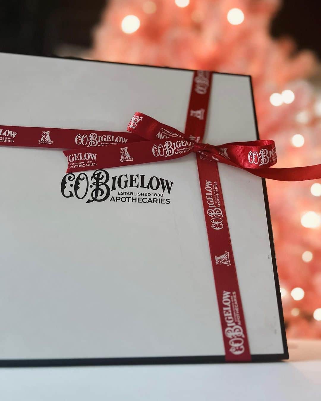 C.O. Bigelowのインスタグラム：「Make sure what they want is under the tree 🎄 with our Black Friday Sale 🖤 ENDING SOON! ⏳️Shop NOW and get 25% discount on ALL Bigelow products. 😍 Use promo code Bigelow25 at checkout! 🛍️⁠ ⁠ 📷️ @themamahooch」