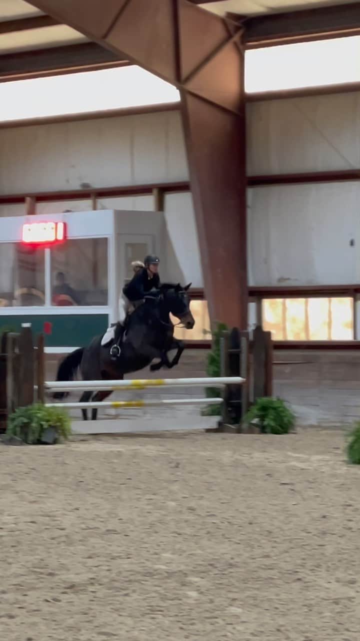 ブリジット・マルコムのインスタグラム：「Jumps are starting to get higher 🥰 fun morning of showing with the worlds goodest girl 👑」