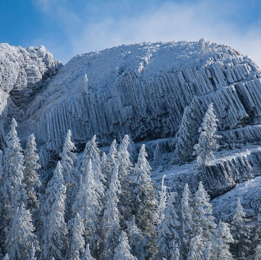 アメリカ内務省のインスタグラム：「Pilot Rock looks stunning under a blanket of fresh snow at Cascade-Siskiyou National Monument. The Oregon monument is situated at the crossroads of the Cascade, Klamath and Siskiyou mountain ranges, and represents an outstanding ecological wonderland.    This @mypubliclands managed monument is a haven for outdoor enthusiasts and nature lovers year-round. The Buck Prairie Nordic Trail System offers 32.8 miles of connected trails for cross-country skiing, snowshoeing and snowmobiling. Snow tubers and sledders will find additional adventures at the sled hill located in the Table Mountain Winter Play Area.    #publiclands #oregon #winterwonderland   Alt Text:    Photo 1: The spectacular beauty of snow covering Pilot Rock with a few snow-covered trees standing in front of it.    Photo 2: Snow-covered trees with a hazy, gray background.」