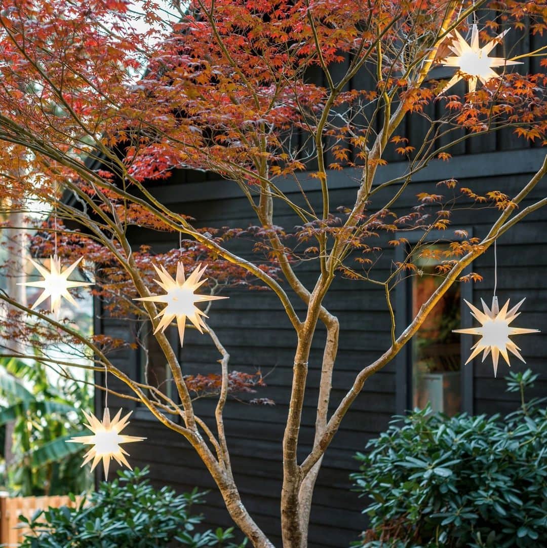 HGTVさんのインスタグラム写真 - (HGTVInstagram)「Create a sparkling light display that will bring envy-worthy curb appeal to your front yard this holiday season. ⁠ ⁠ If you're in need of some light-spiration, we've got you covered with our dazzling light display picks. 🎄✨⁠ ⁠ Which of these looks do you like best? ⁠ ⁠ Head to the 👉 link in bio for more dazzling light displays. #HGTVOutdoors」11月27日 5時02分 - hgtv