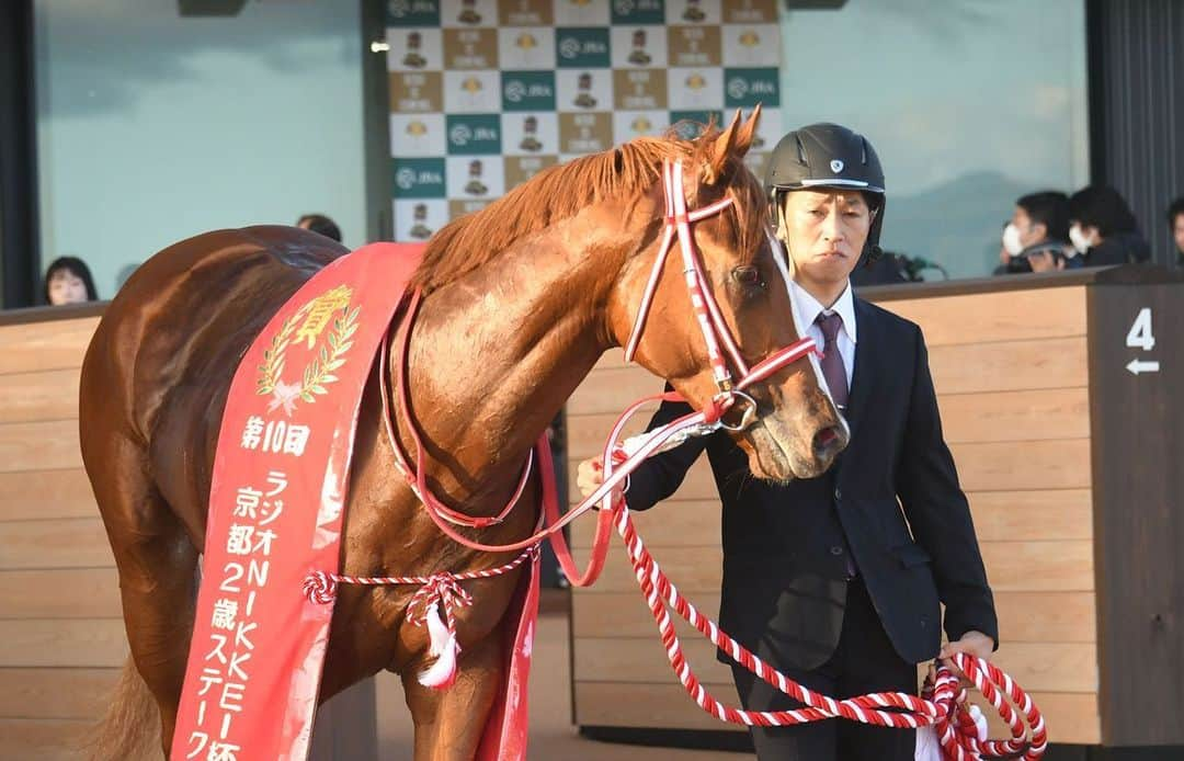 netkeibaさんのインスタグラム写真 - (netkeibaInstagram)「ㅤㅤㅤㅤㅤㅤㅤㅤㅤㅤㅤㅤㅤㅤㅤ ㅤㅤㅤㅤㅤㅤㅤㅤㅤㅤㅤㅤㅤㅤ #京都2歳ステークス  winner 🍵  #シンエンペラー (牡2、栗東・ #矢作芳人 厩舎) ㅤㅤㅤㅤㅤㅤㅤㅤㅤㅤㅤㅤㅤ #ジョアンモレイラ 騎手 #Siyouni #StarletsSister . . #instahorse #horsetagram #thoroughbred #horseracing #horse #horseofinstagram #keiba #競馬 #馬 #ShinEmperor  (C)netkeiba.com」11月27日 16時01分 - netkeiba