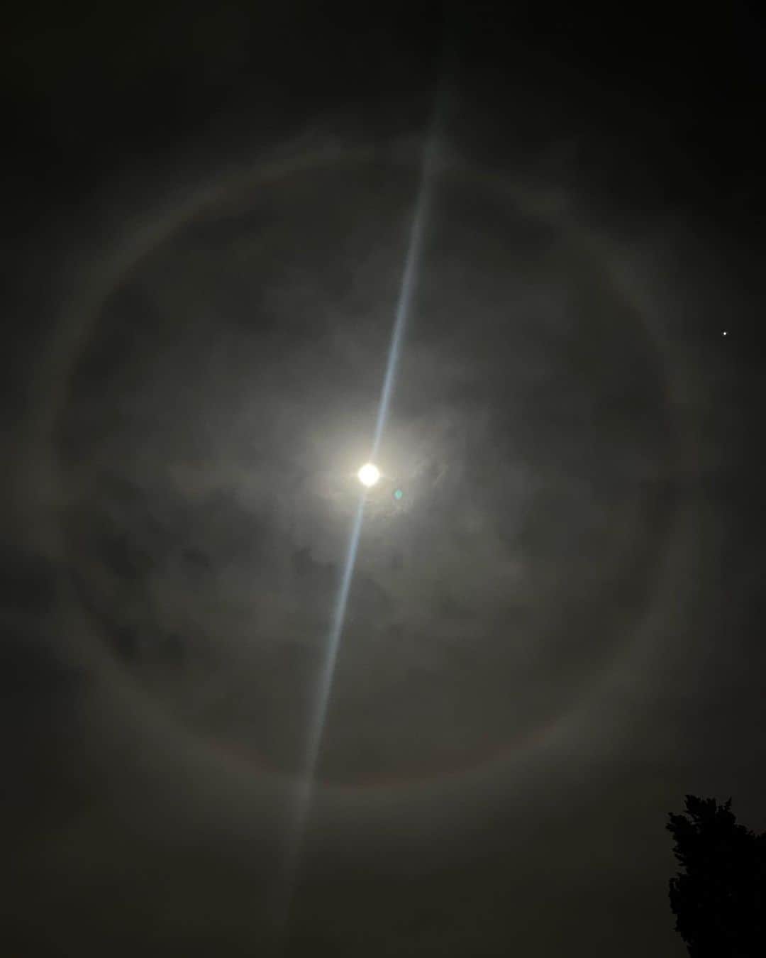 カミラ・ルディントンさんのインスタグラム写真 - (カミラ・ルディントンInstagram)「Moon halo above our home tonight! Los Angeles, don’t forget to look up! 🌙」11月27日 15時56分 - camillaluddington