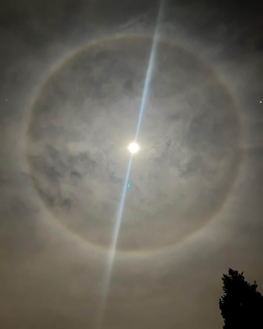 カミラ・ルディントンのインスタグラム：「Moon halo above our home tonight! Los Angeles, don’t forget to look up! 🌙」