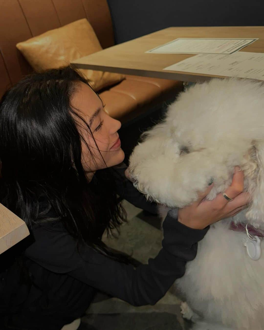 宮川由衣子さんのインスタグラム写真 - (宮川由衣子Instagram)「. 犬界に人間がお邪魔している世界🐕‍🦺❤️#何それ 犬界にお邪魔して美味しいパスタ🍝いただいてきた🍴 要するにわんこと一緒に行けるわんこだらけのカフェ💭 食欲も犬欲も満たされましたと💞 #3大欲求の1つに追加したい #犬欲  @nine9roppongi #cafe」11月27日 14時48分 - yuiko_miyagawa