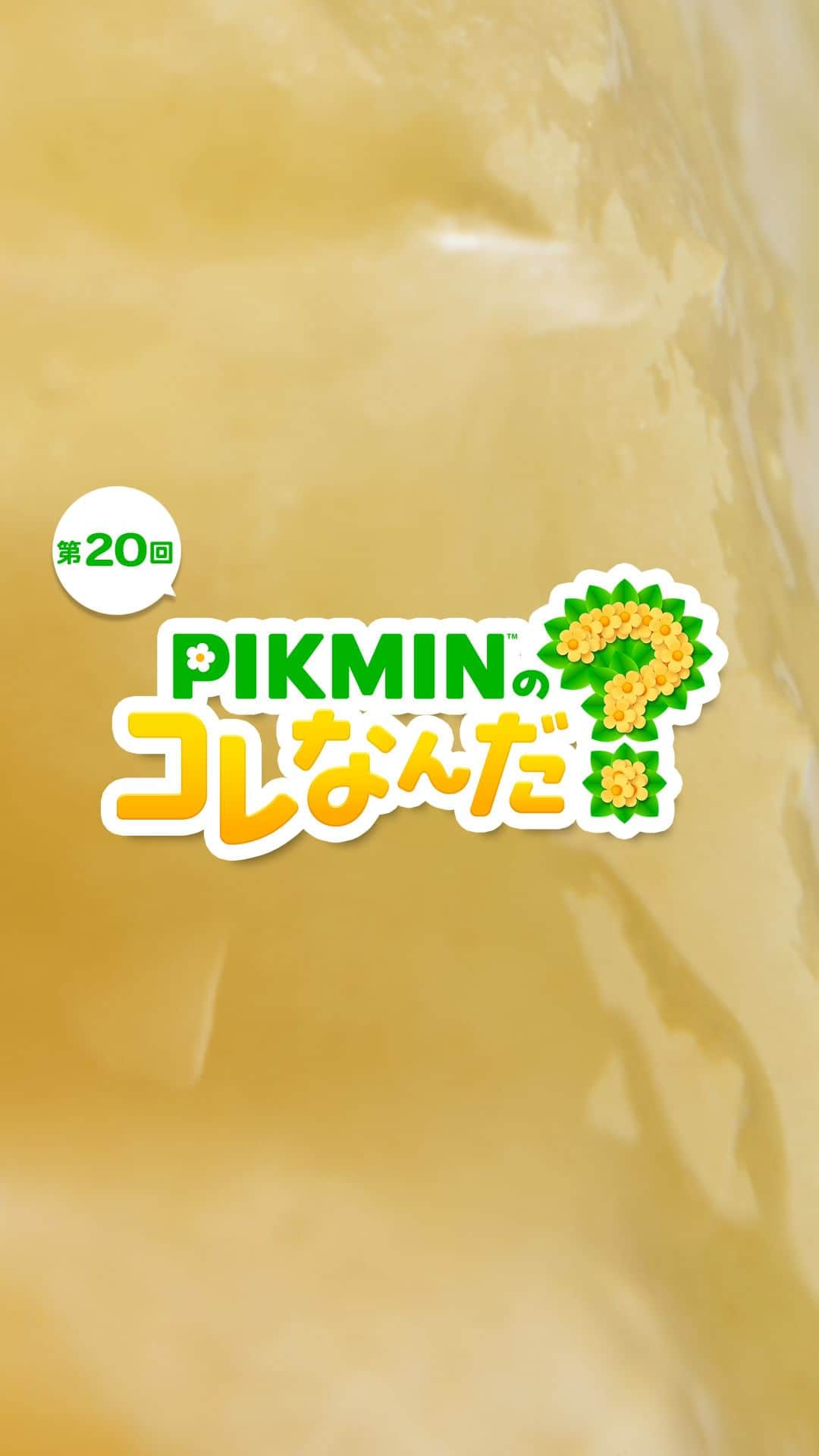 任天堂のインスタグラム：「「PIKMINのコレなんだ？」第20回  ピクミンたちが見つけたものはなんでしょう？  #ピクミン #pikmin #これなんだ #NintendoSwitch #Nintendo #任天堂」
